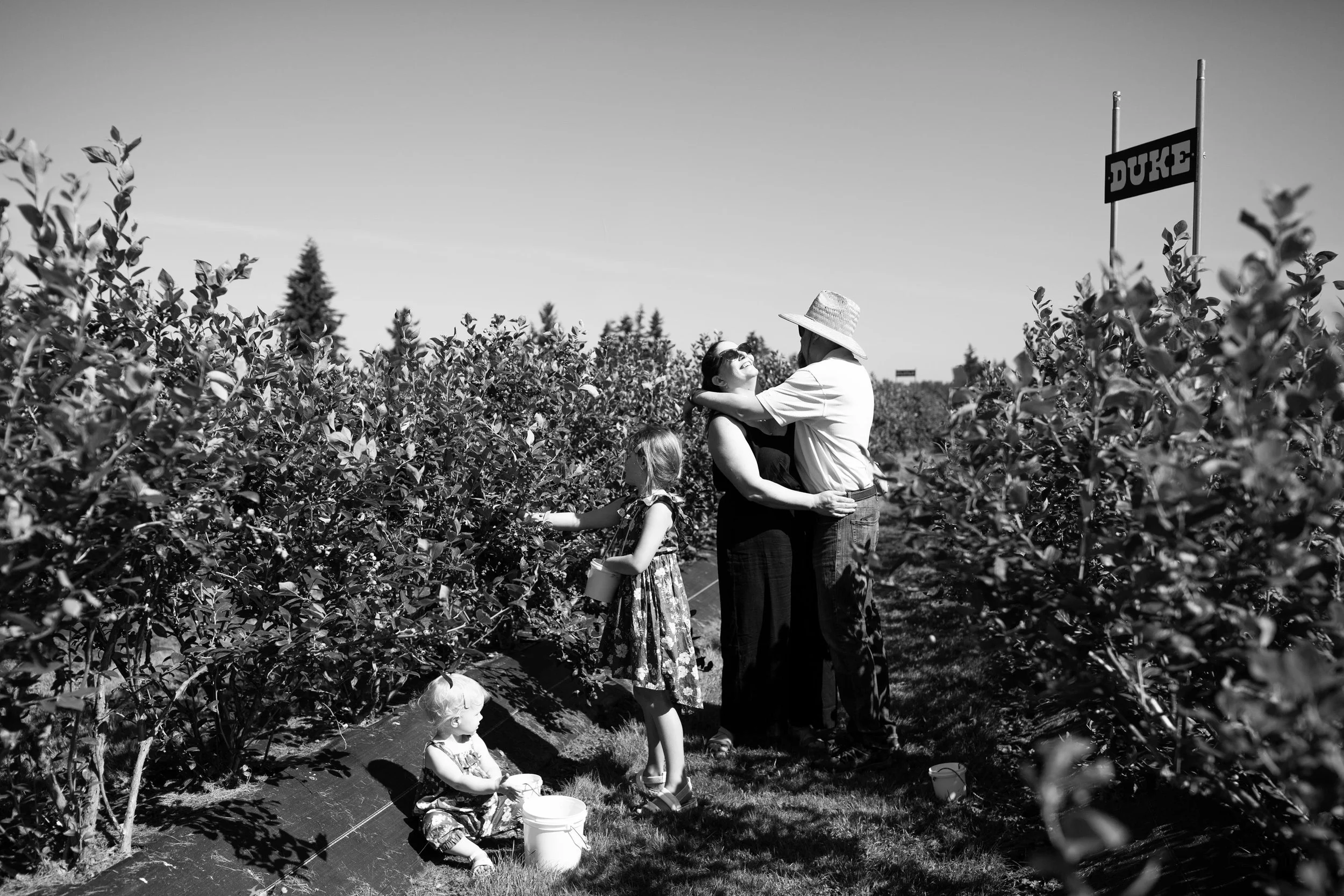maple valley photographer - summer mini sessions