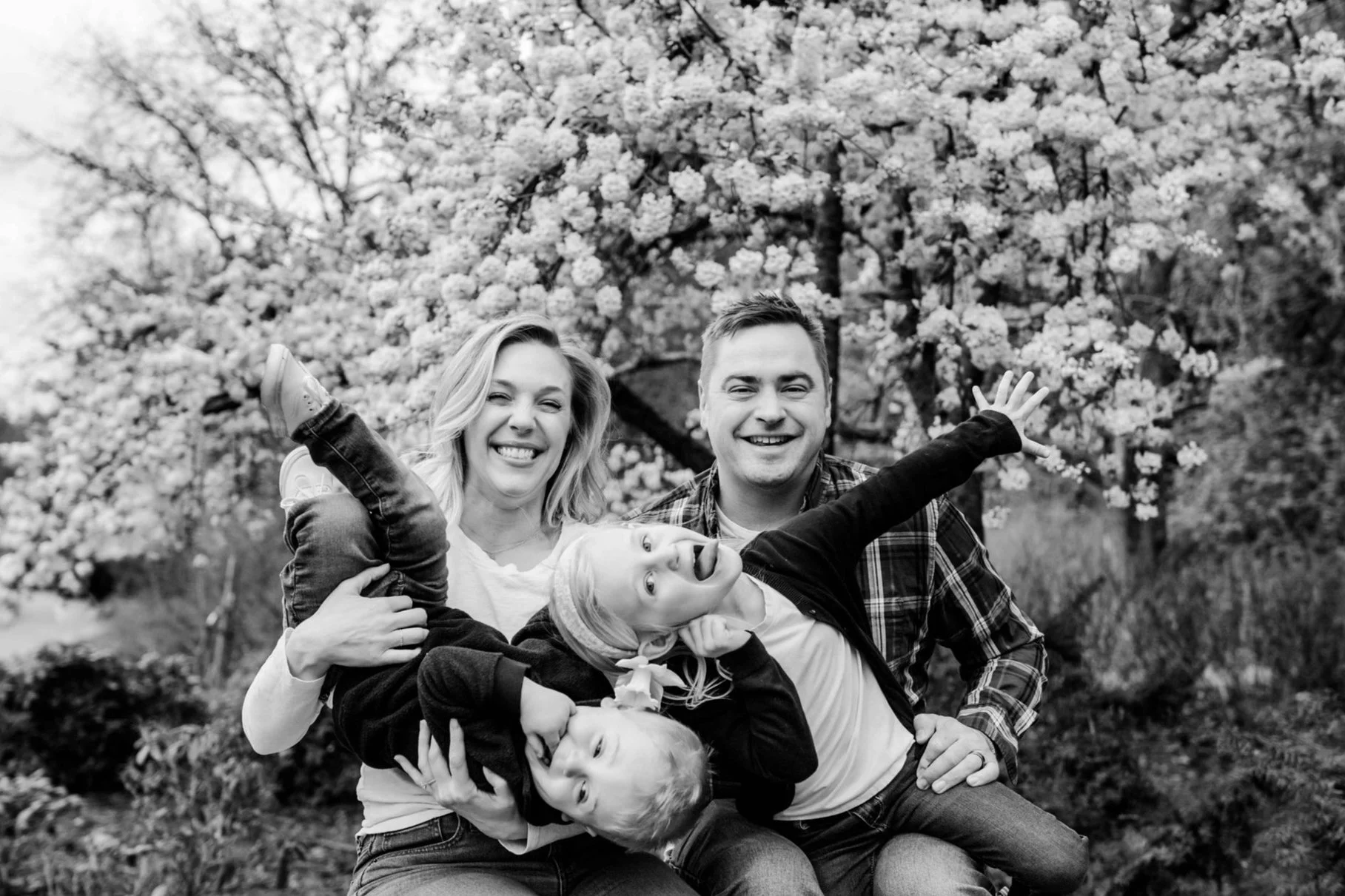 Celebrate Spring with Cherry Blossom Mini Sessions at the Arboretum // black and white