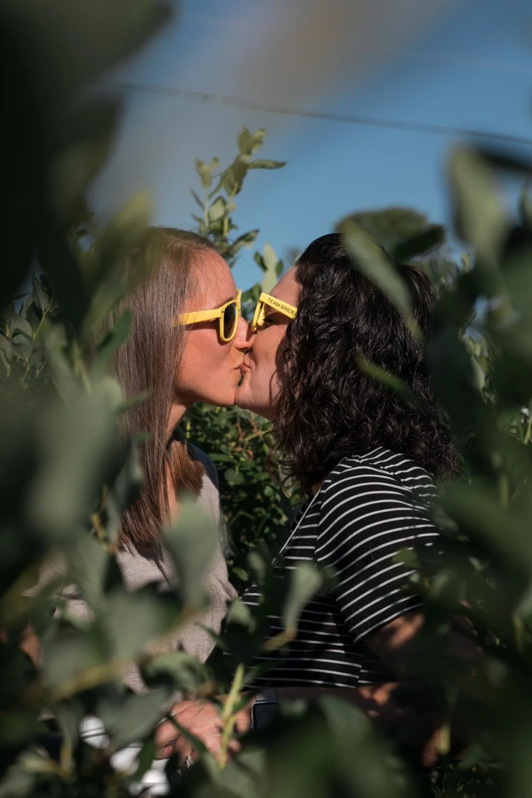 seattle lifestyle photographer - summer mini sessions