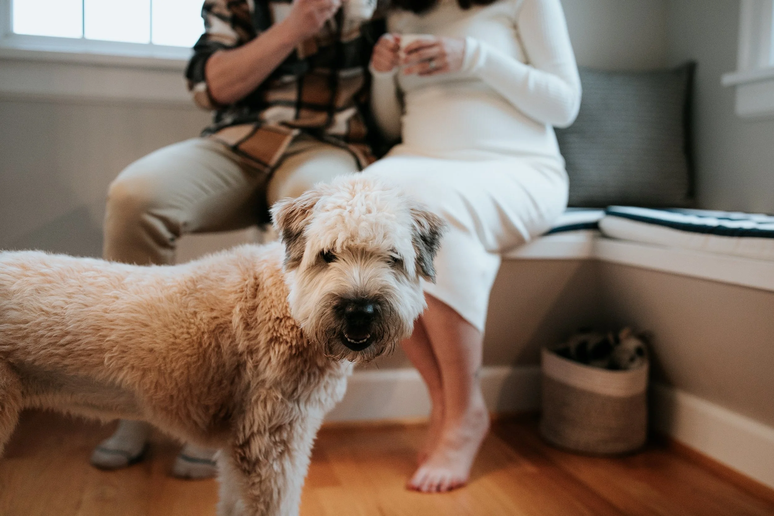 seattle newborn photographer - in home lifestyle