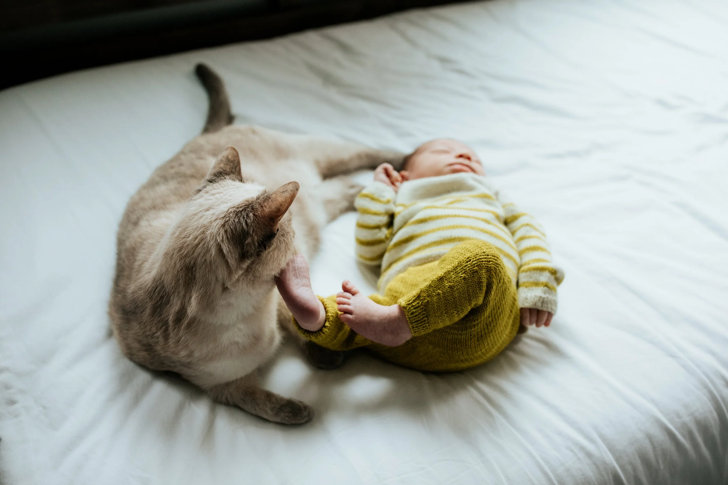 seattle newborn photographer - lifestyle (Copy)