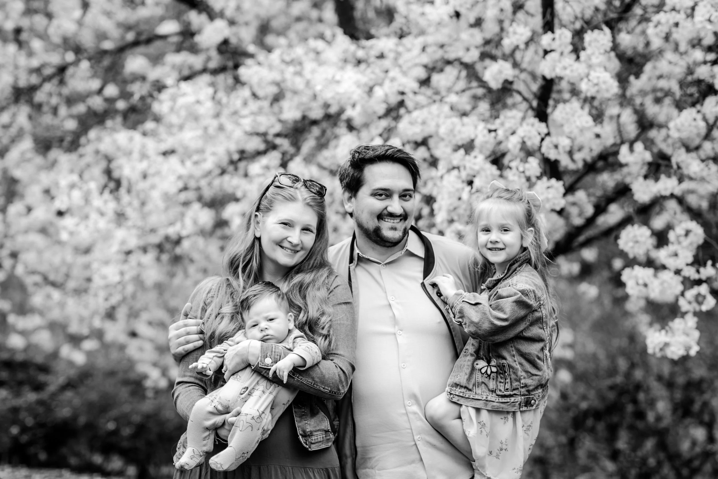 seattle mini session photographer - cherry blossom