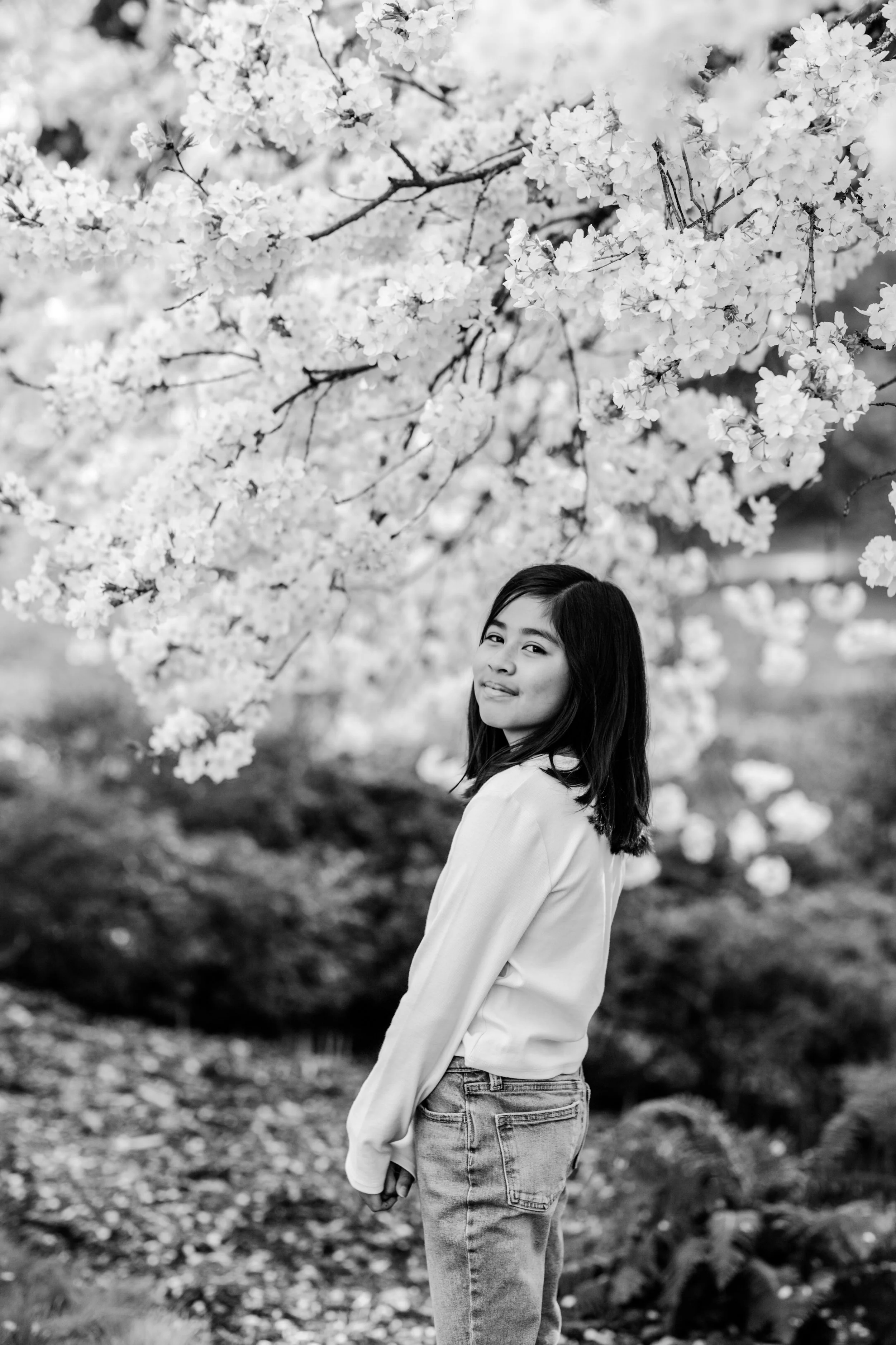 seattle mini session photographer - cherry blossom