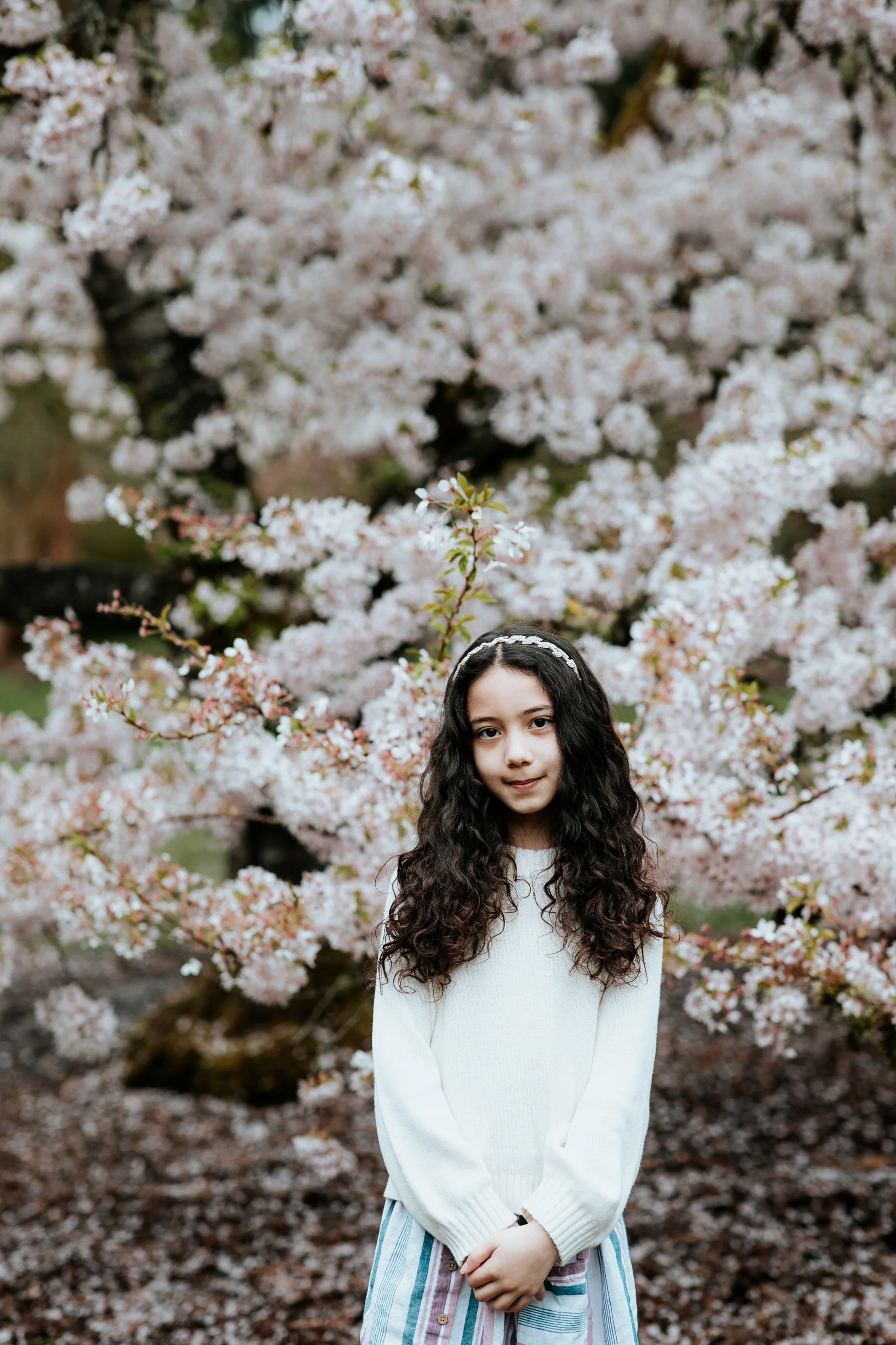 seattle mini session photographer - cherry blossom