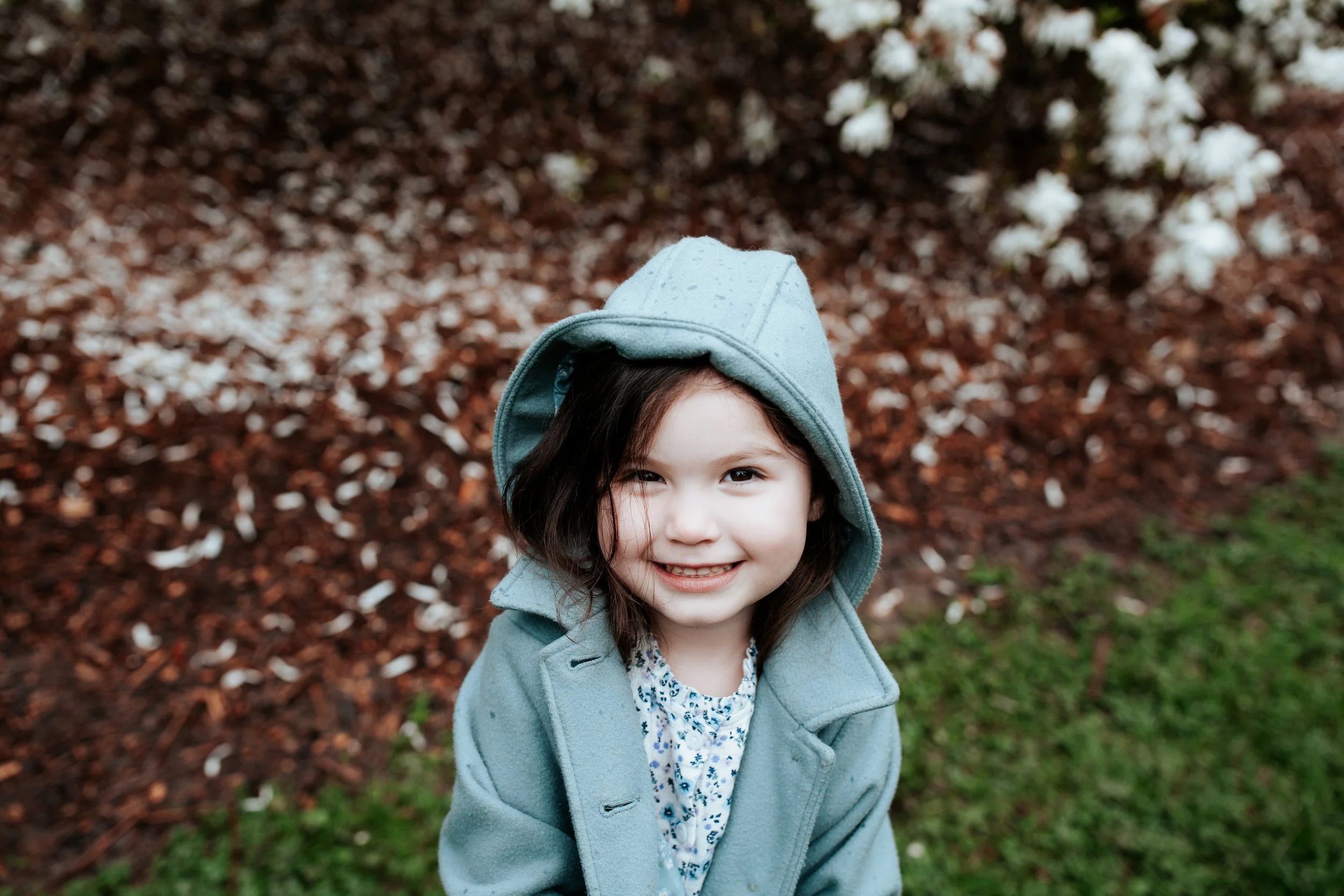 seattle mini session photographer - cherry blossom