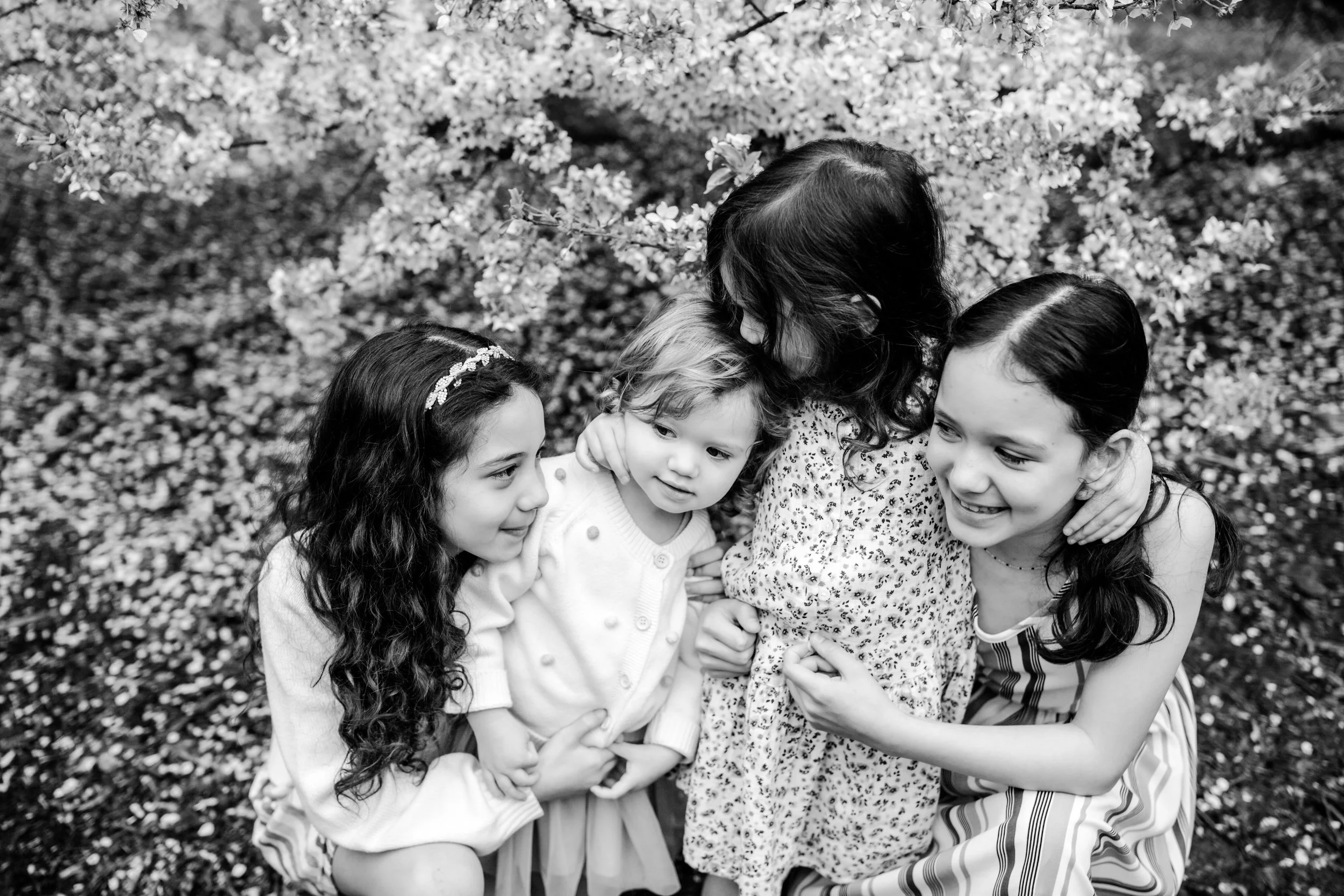 seattle mini session photographer - cherry blossom