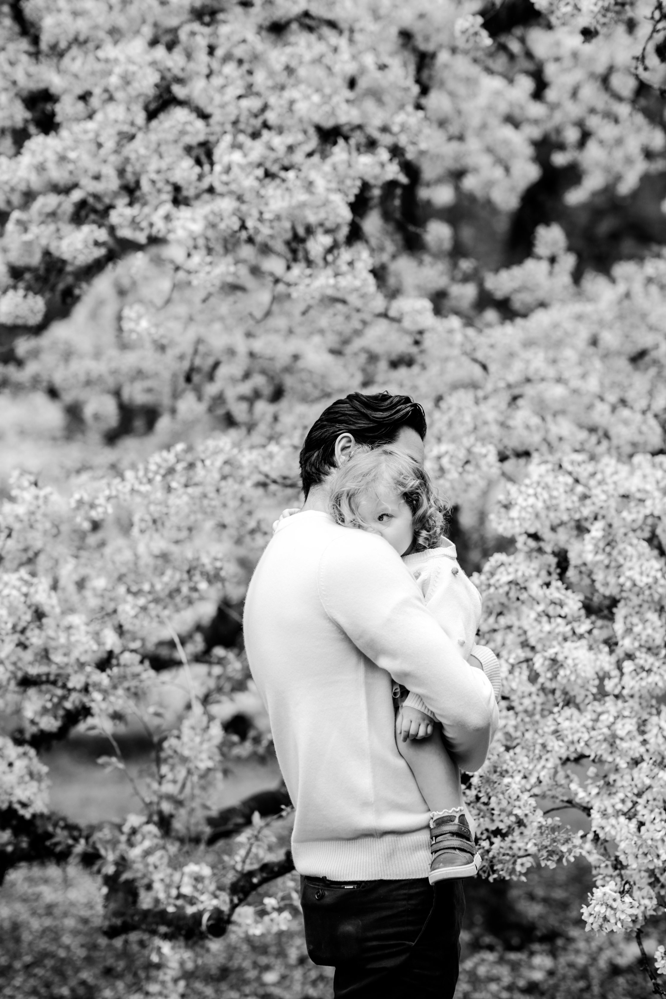 seattle mini session photographer - cherry blossom