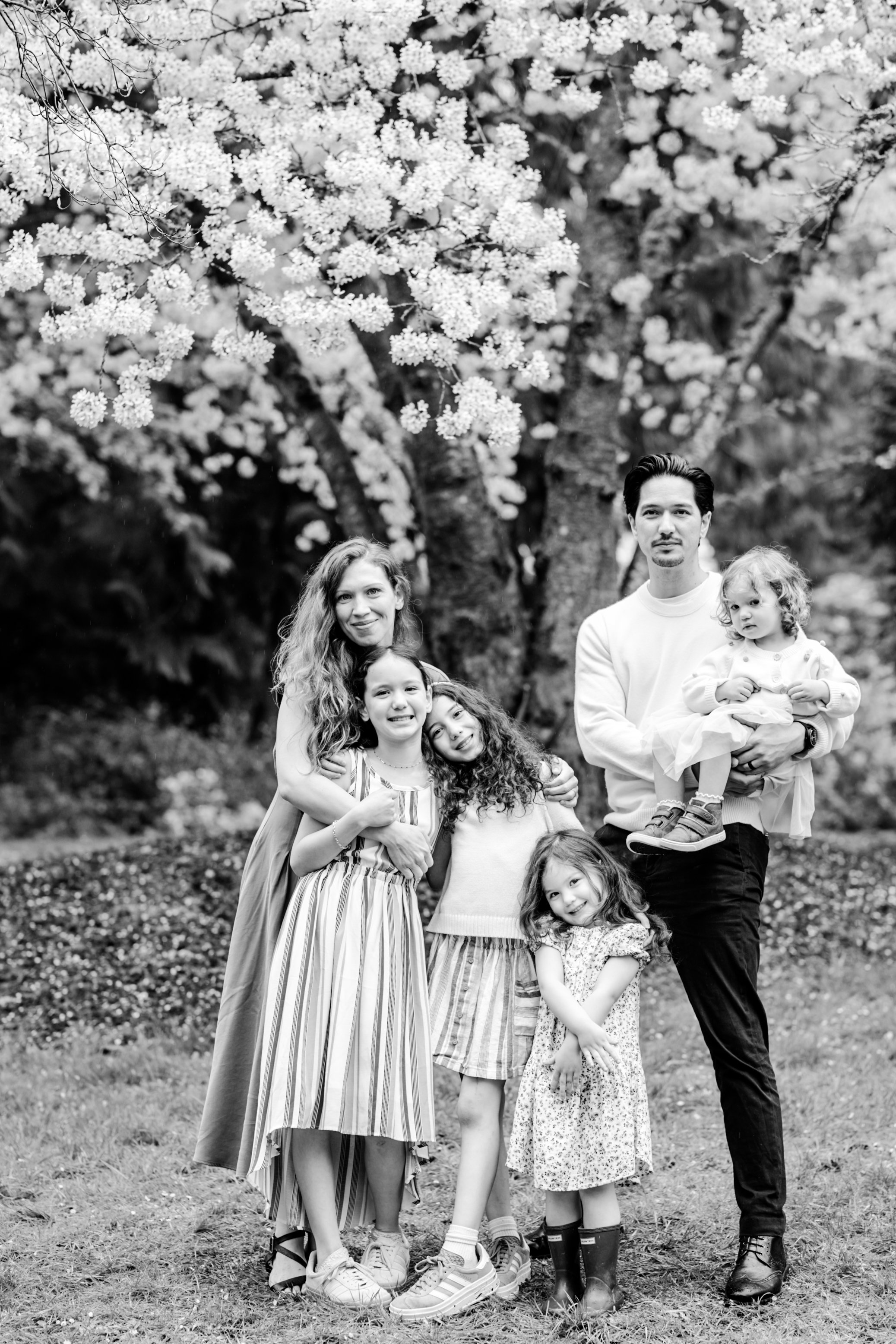 seattle mini session photographer - cherry blossom