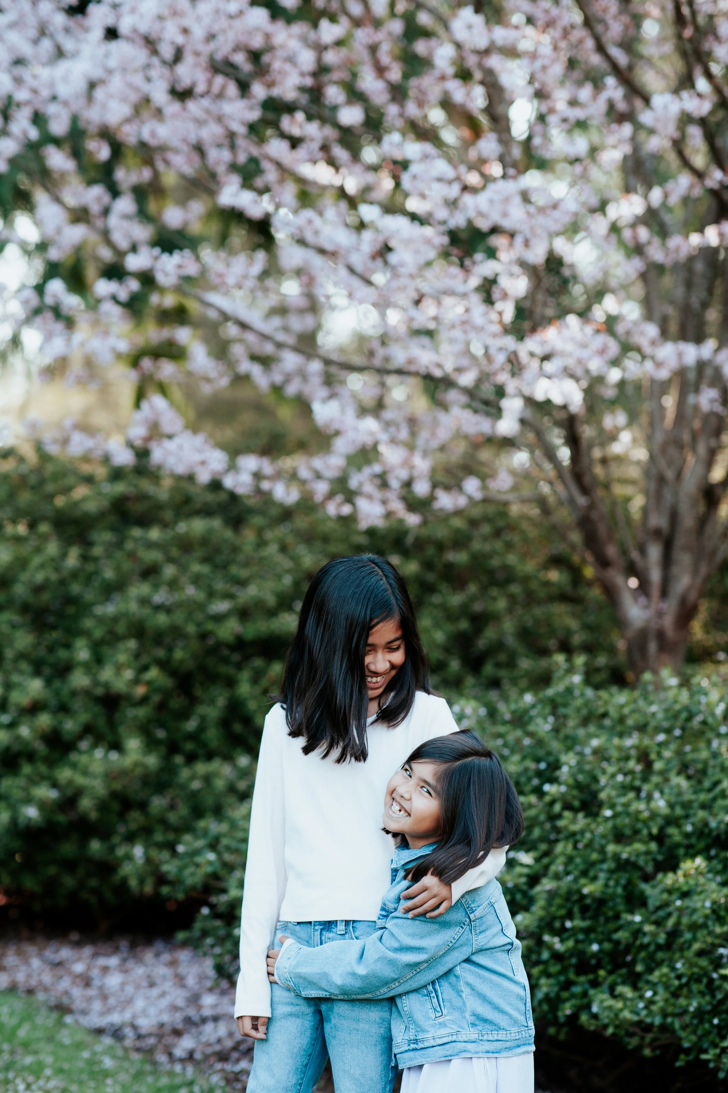 seattle mini session photographer - cherry blossom