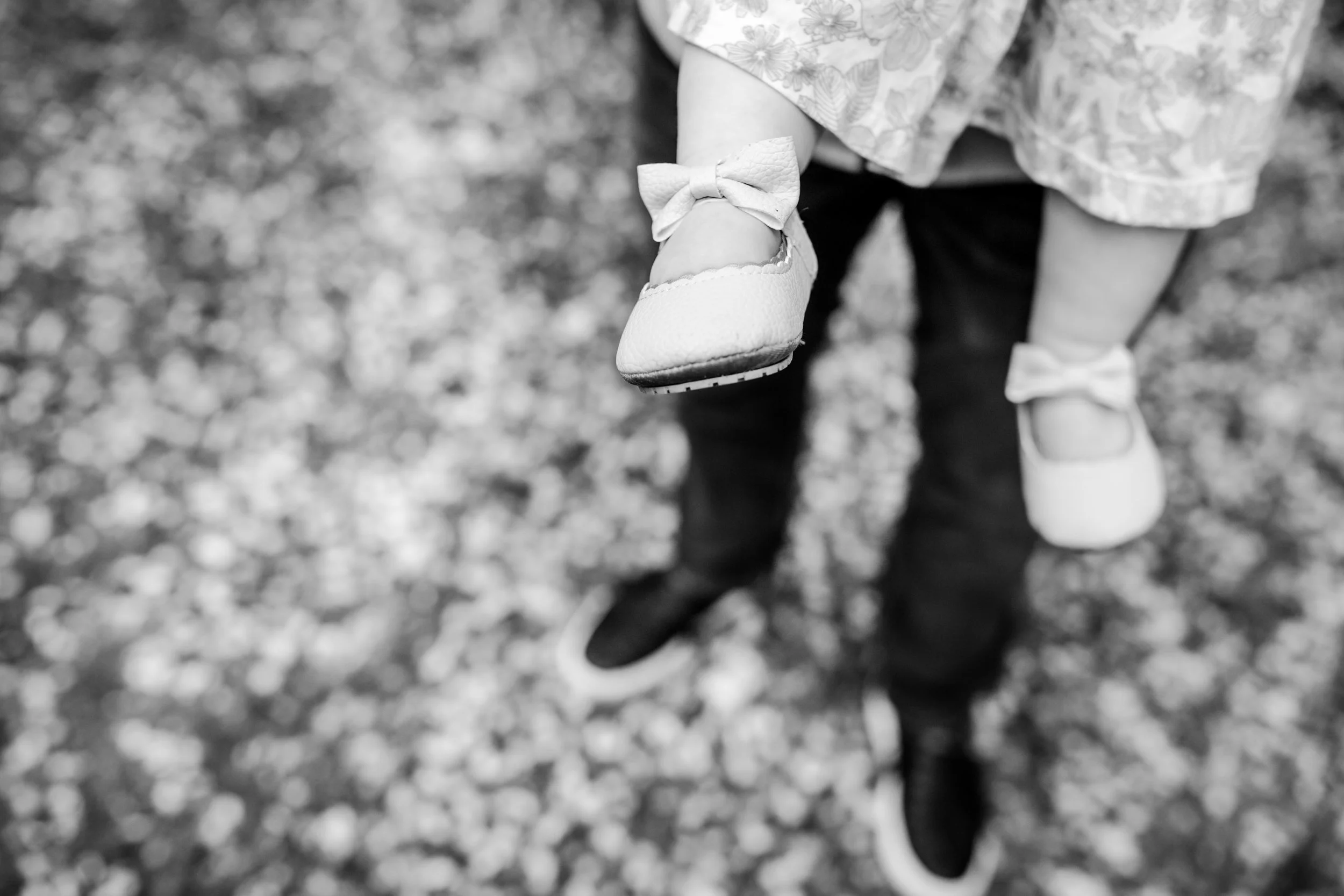 seattle mini session photographer - cherry blossom