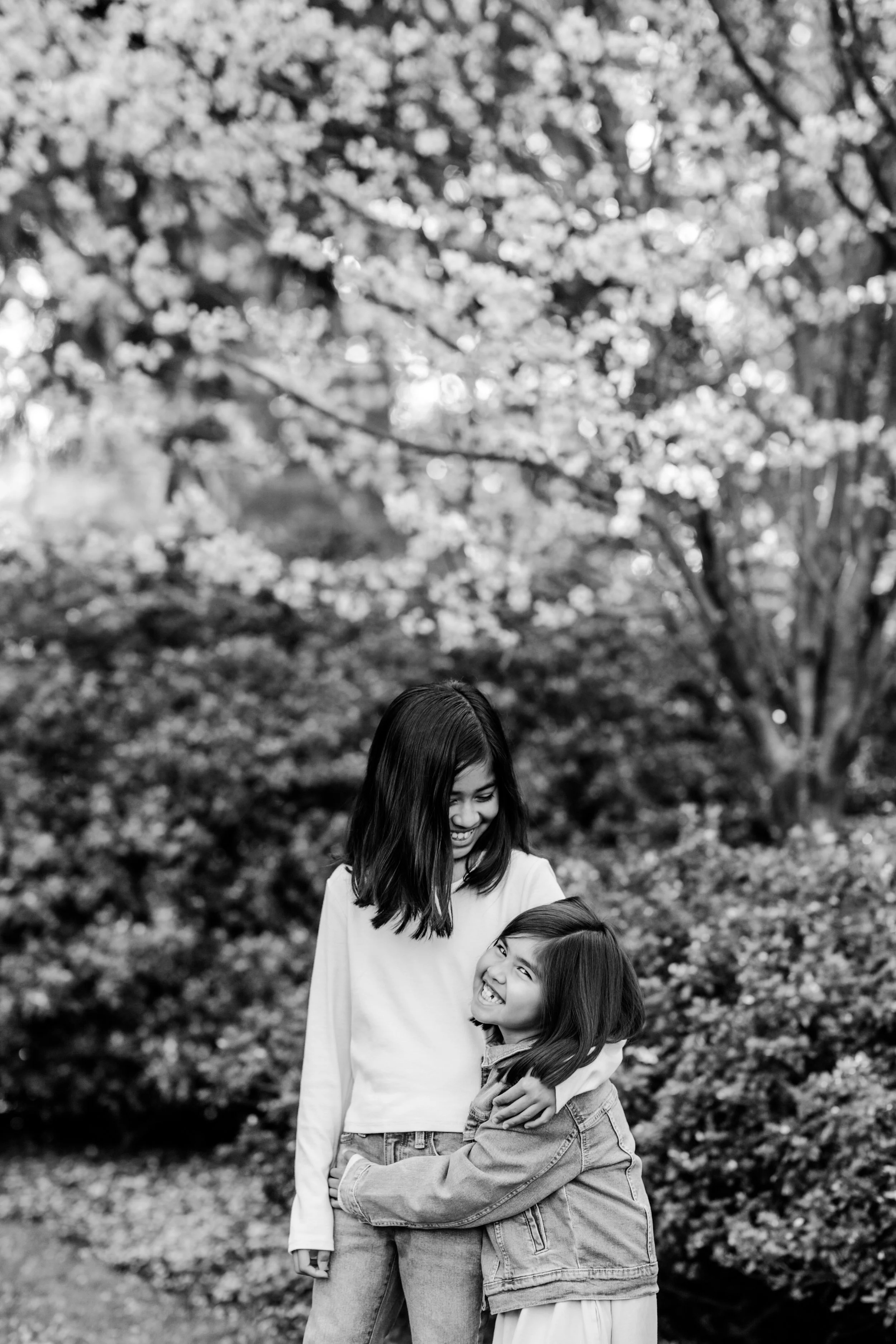 seattle mini session photographer - cherry blossom
