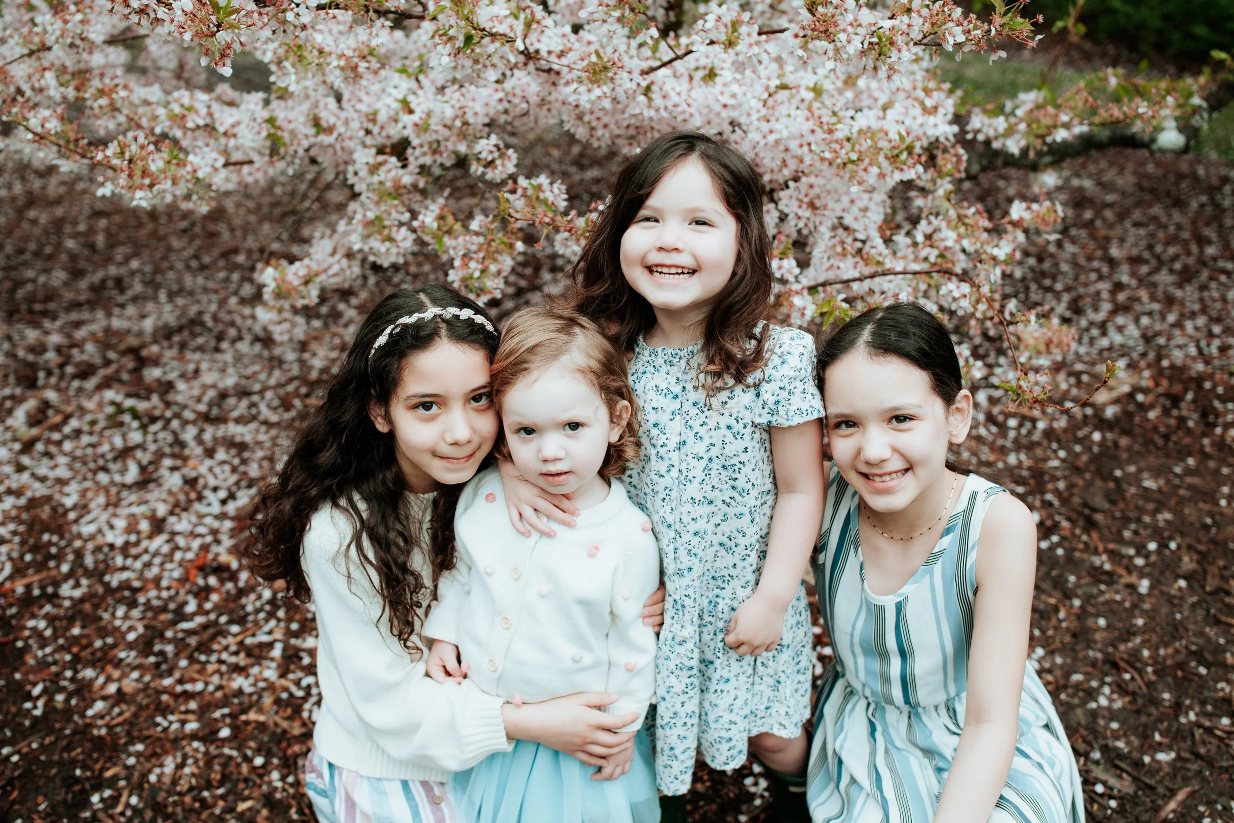 seattle lifestyle photographer - spring mini sessions