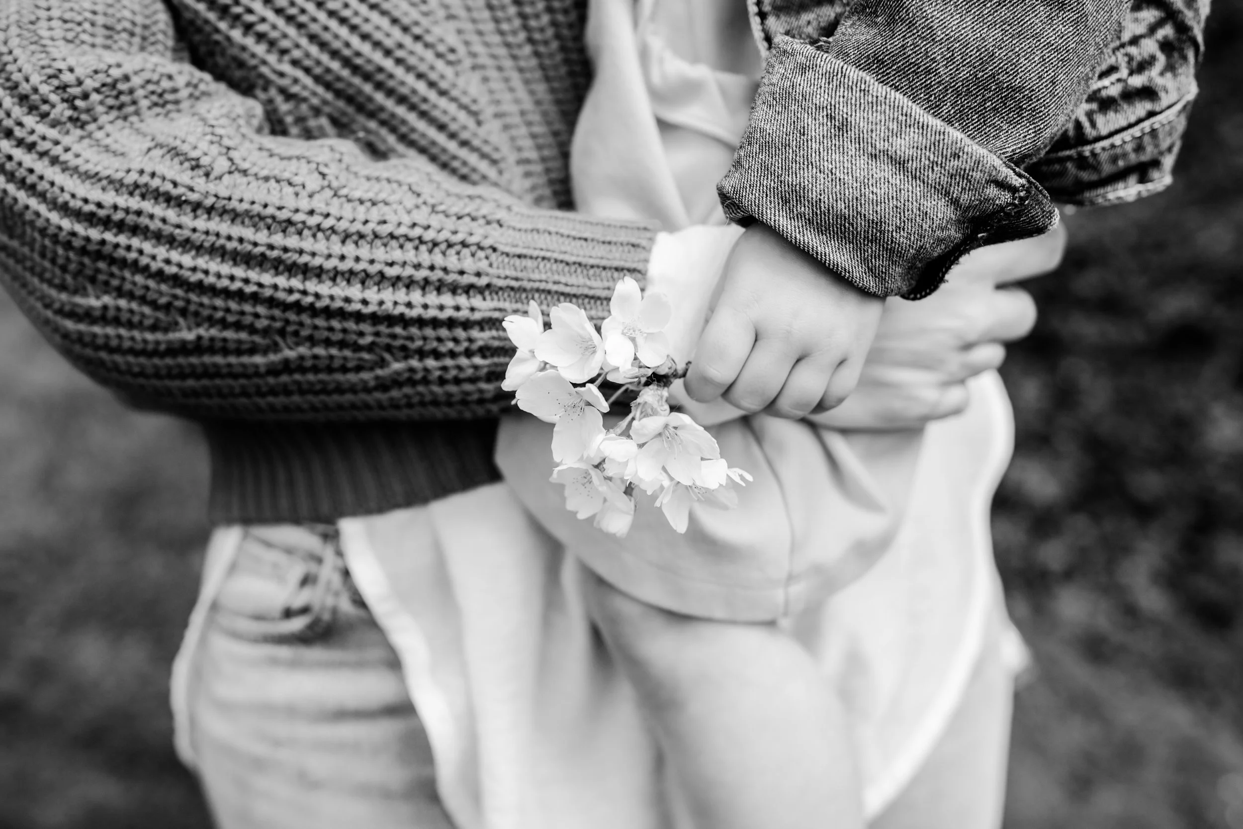 seattle mini session photographer - cherry blossom