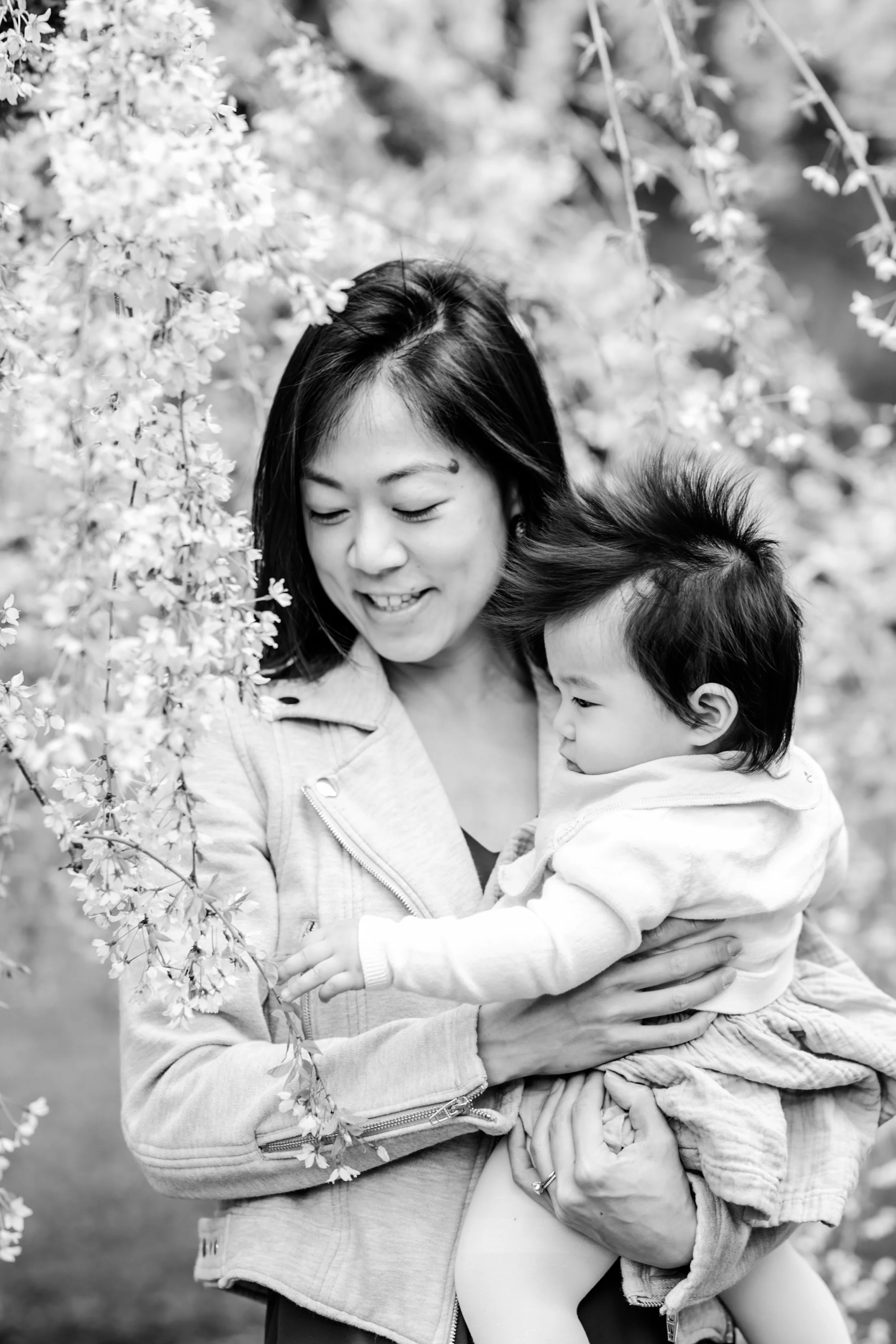 seattle mini session photographer - cherry blossom