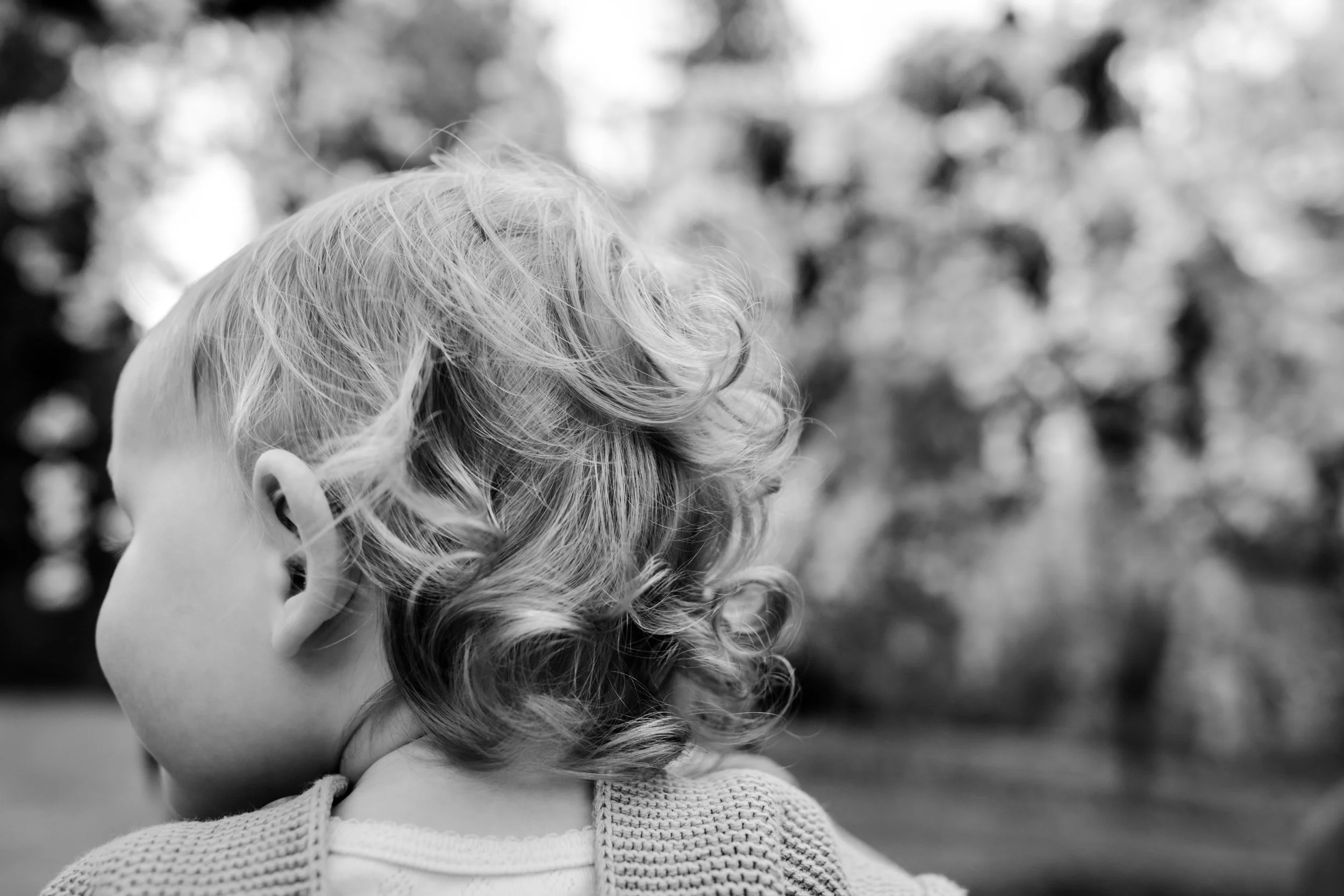 seattle mini session photographer - cherry blossom