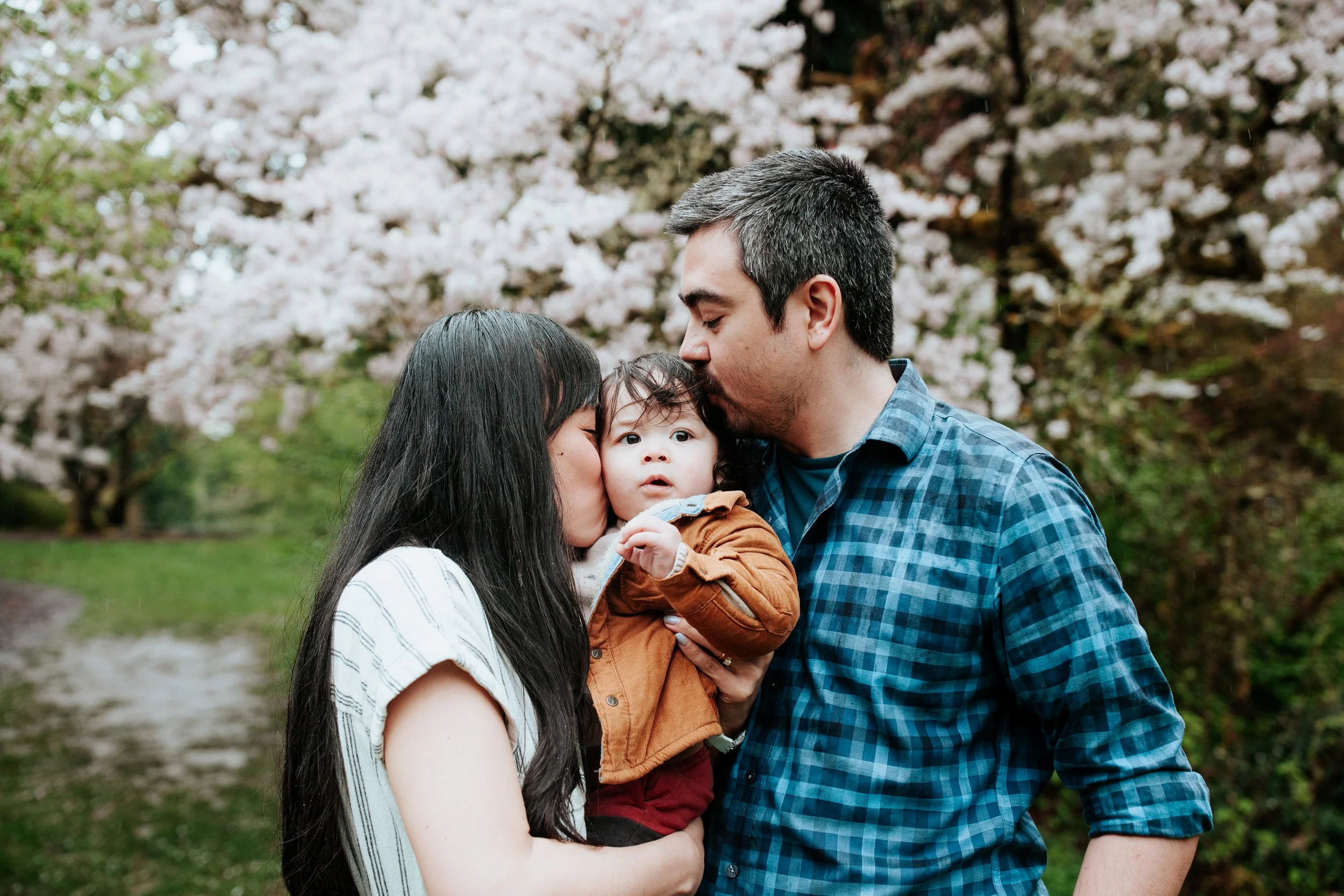 seattle lifestyle photographer - cherry blossom mini sessions (Copy)