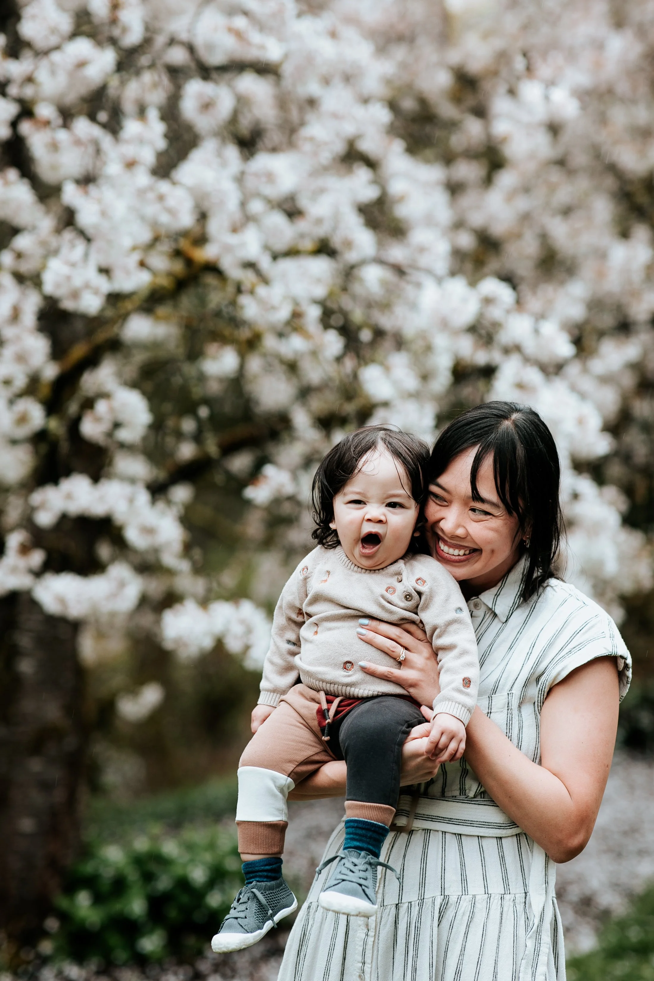 seattle lifestyle photographer - cherry blossom mini sessions (Copy)