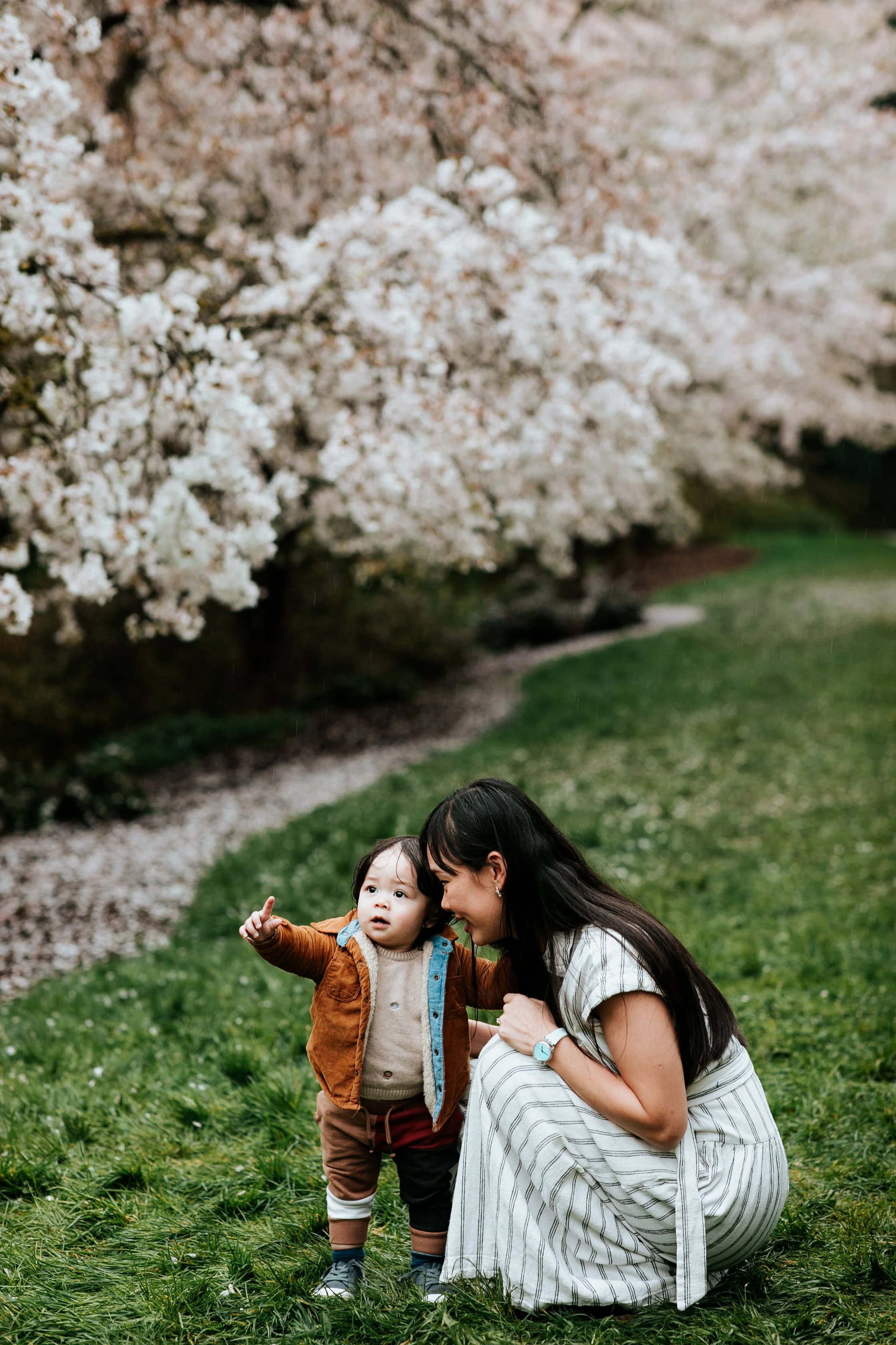 seattle lifestyle photographer - cherry blossom mini sessions (Copy)