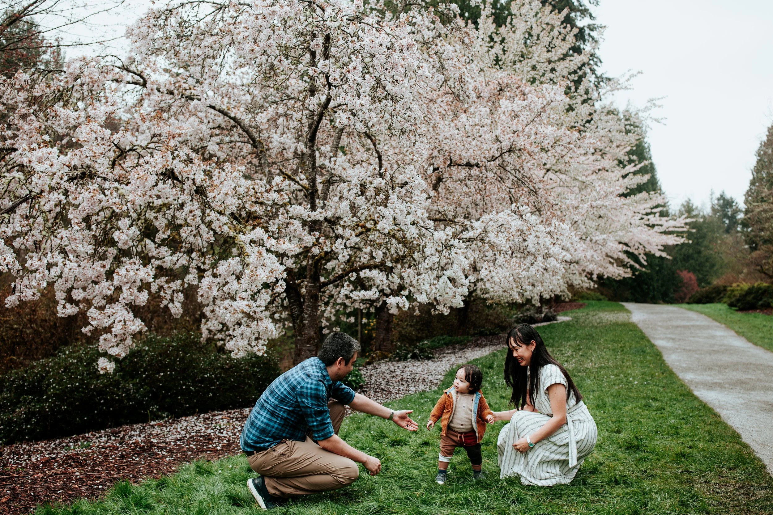 seattle lifestyle photographer - cherry blossom mini sessions (Copy)