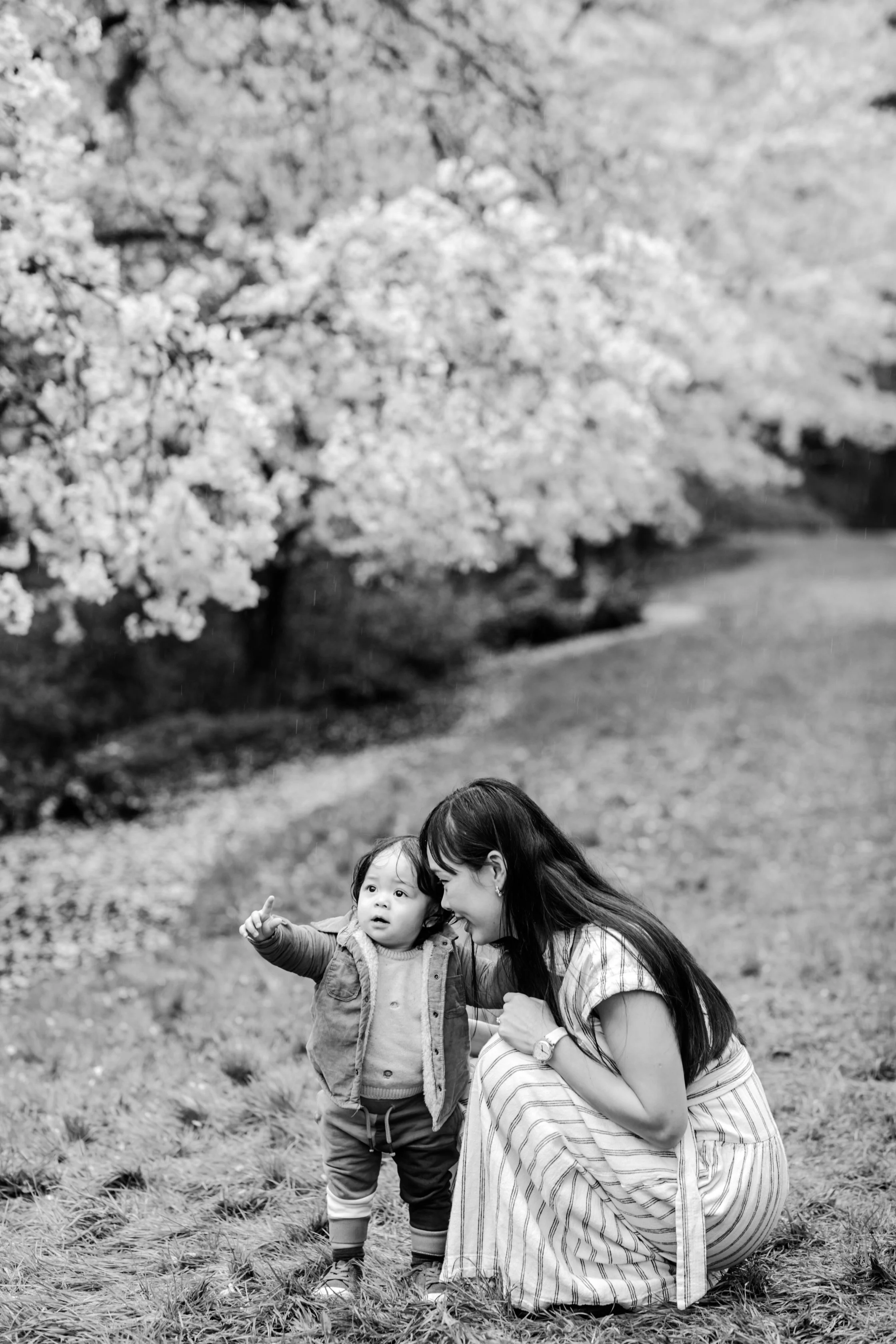 seattle lifestyle photographer - cherry blossom 2025-440.JPG