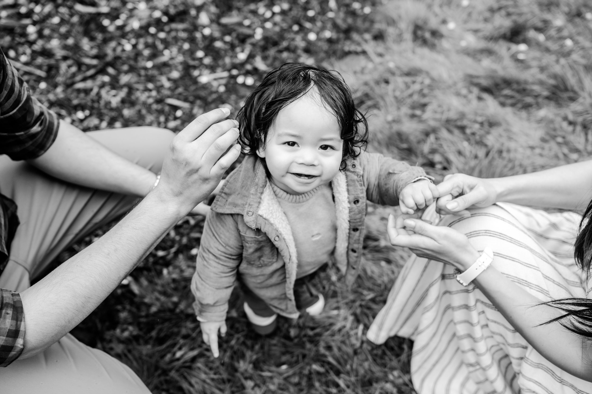 seattle lifestyle photographer - cherry blossom 2025-444.JPG