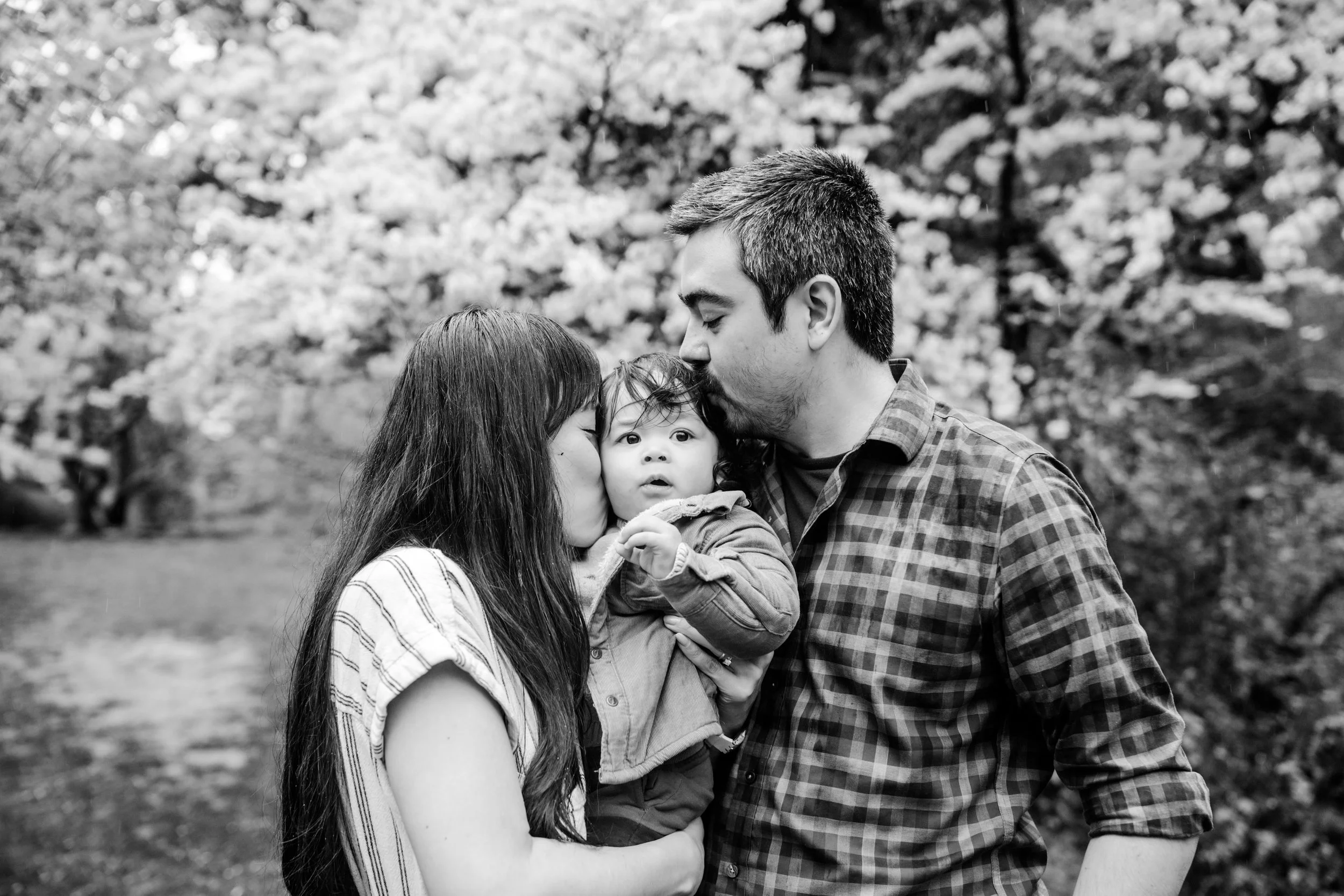 seattle lifestyle photographer - cherry blossom 2025-450.JPG