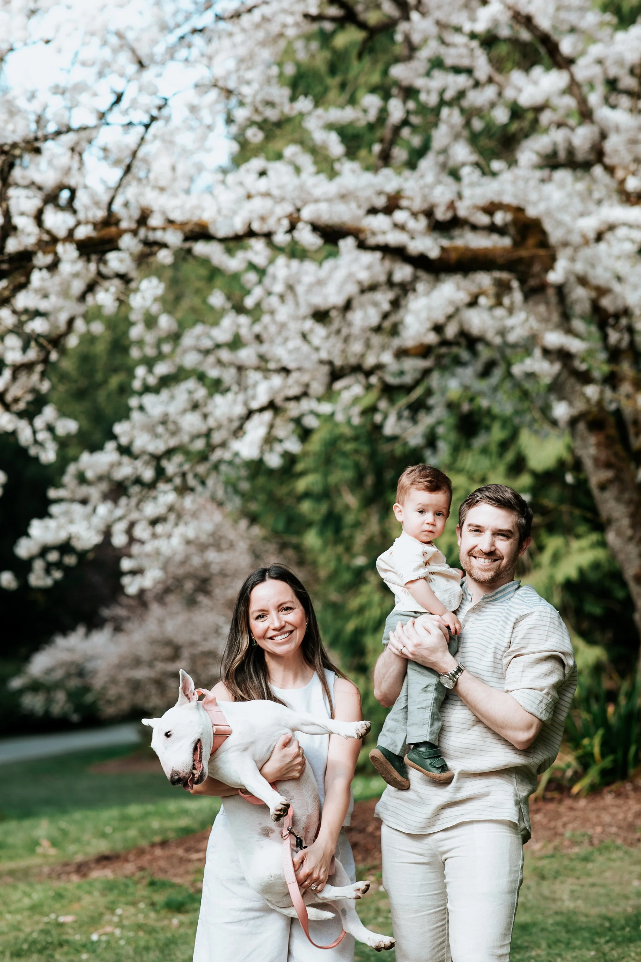 seattle lifestyle photographer - spring mini sessions