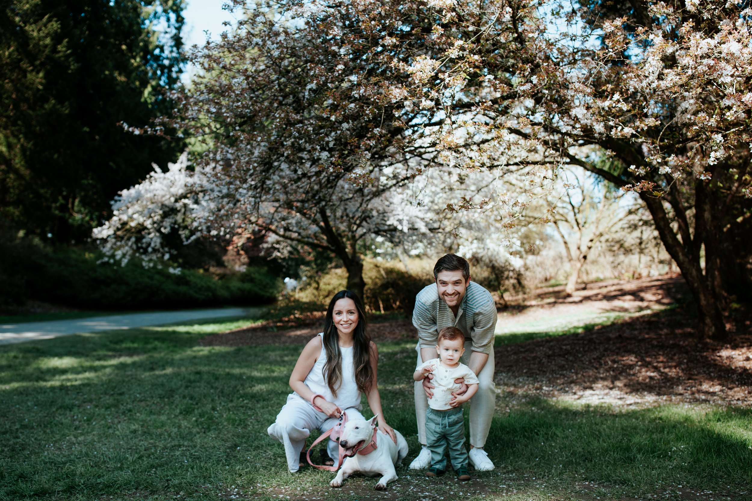 seattle lifestyle photographer - spring mini sessions