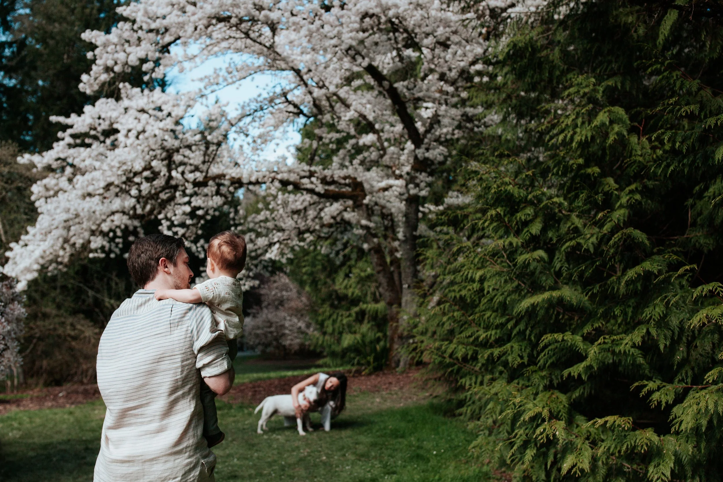seattle lifestyle photographer - spring mini sessions