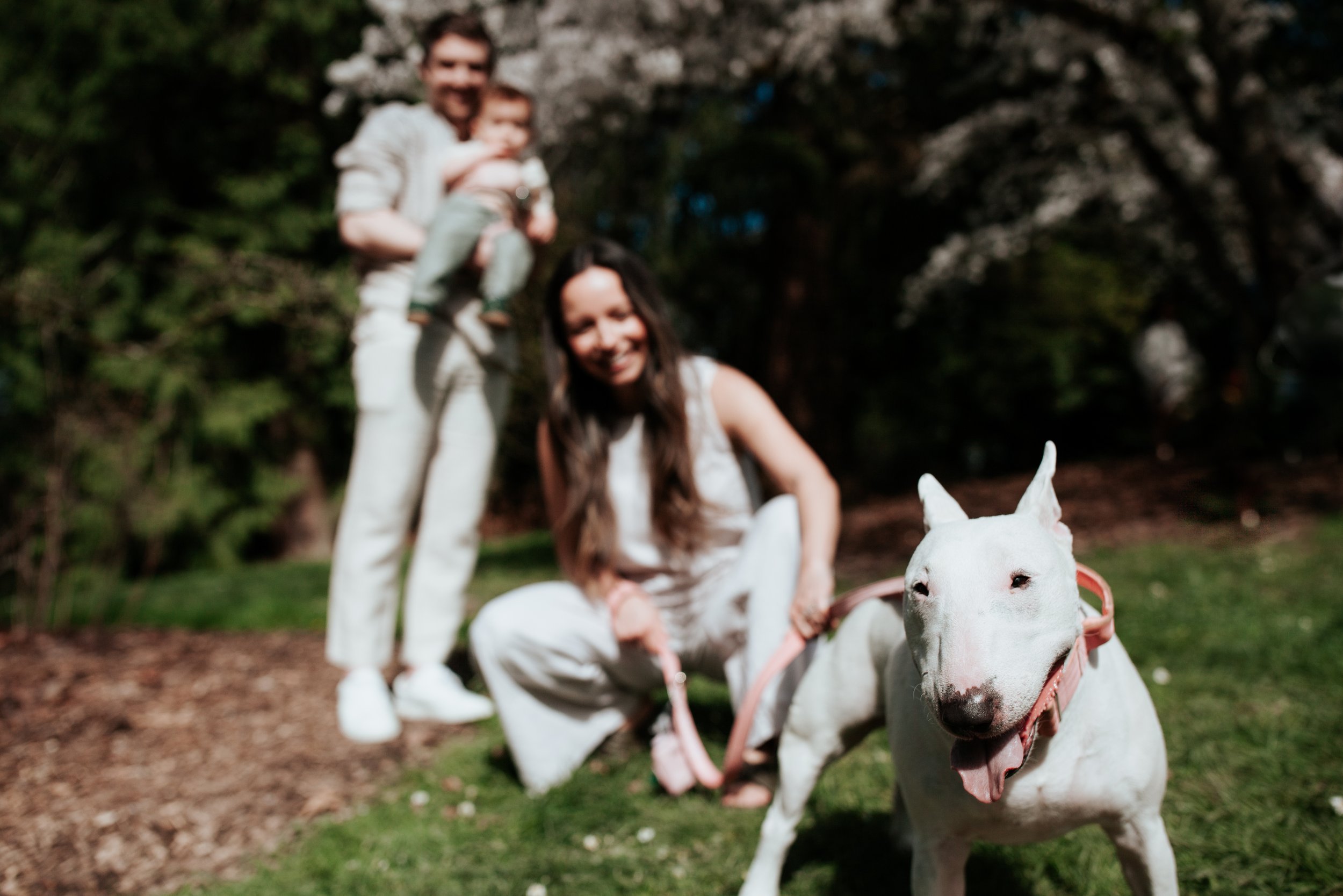 seattle lifestyle photographer - spring mini sessions