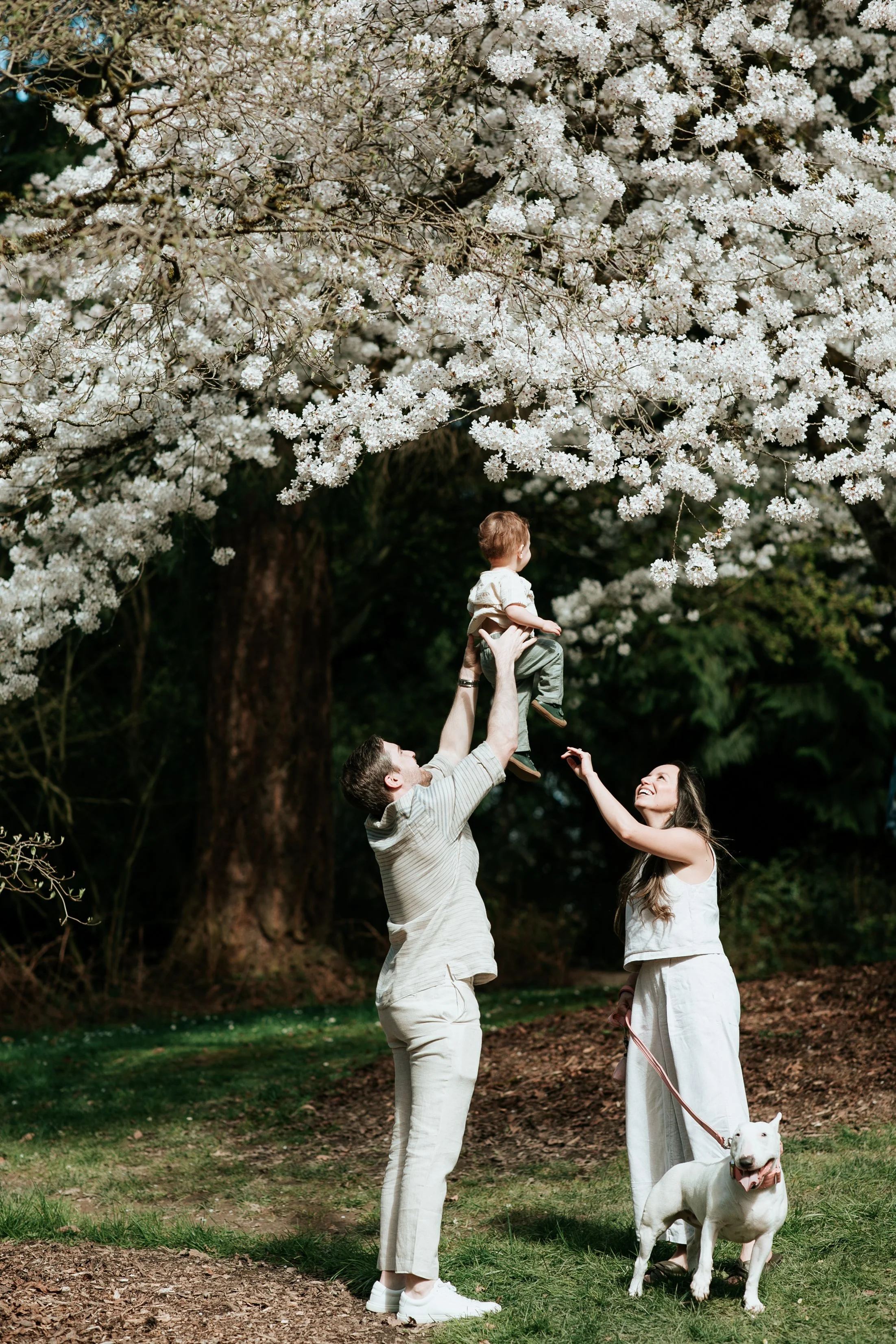 seattle lifestyle photographer - spring mini sessions