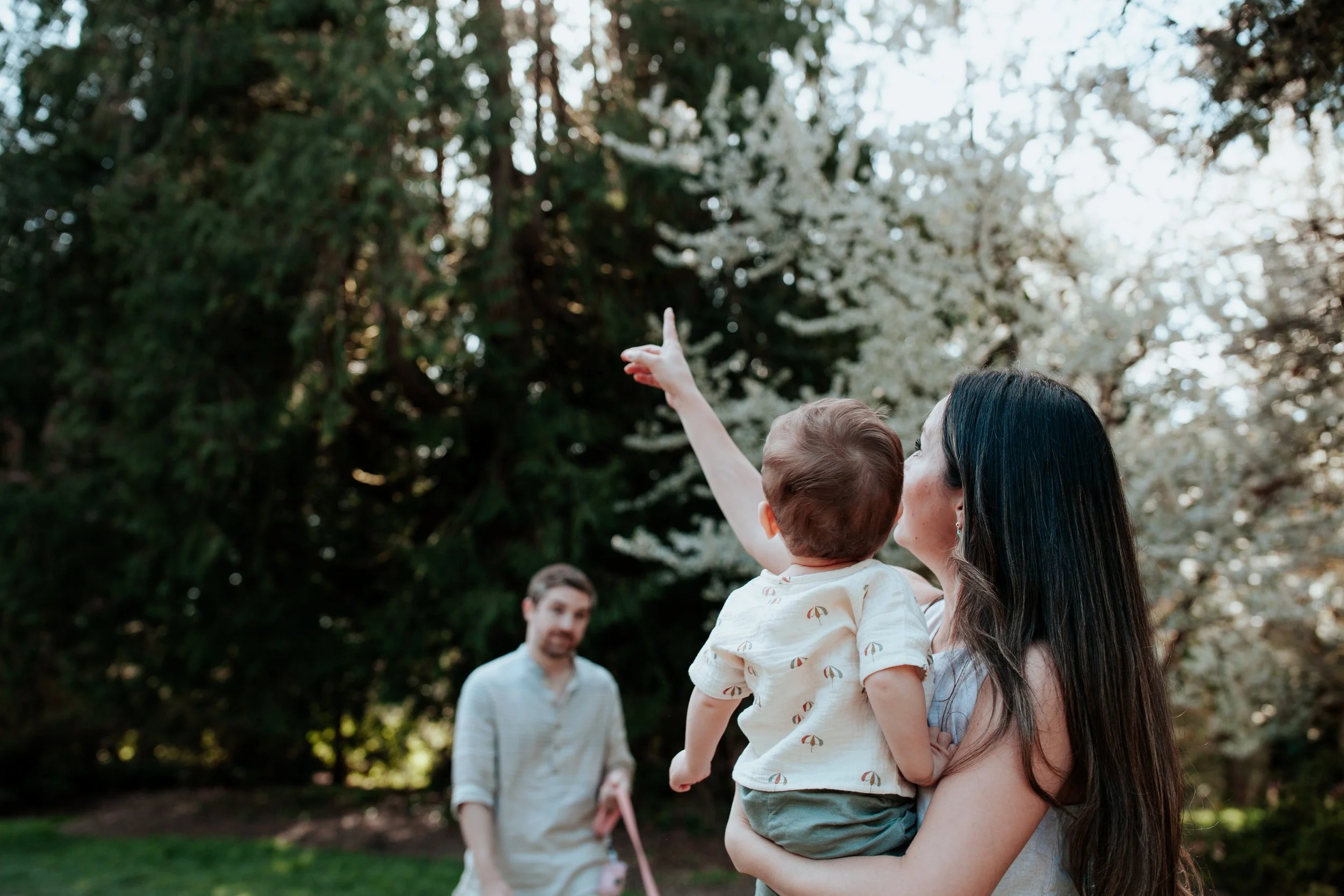 seattle lifestyle photographer - spring mini sessions