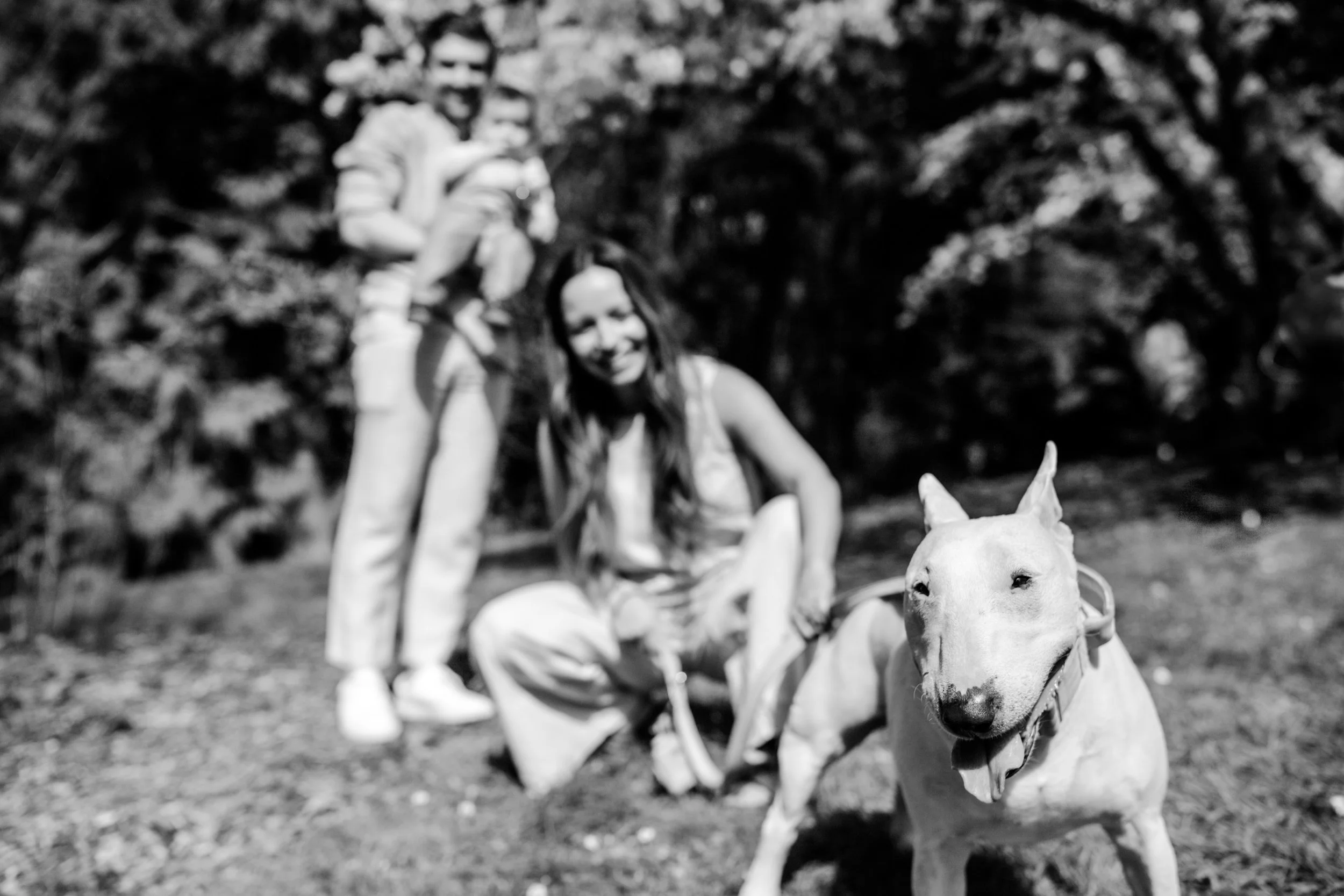 pet-friendly cherry blossom mini sessions // black and white