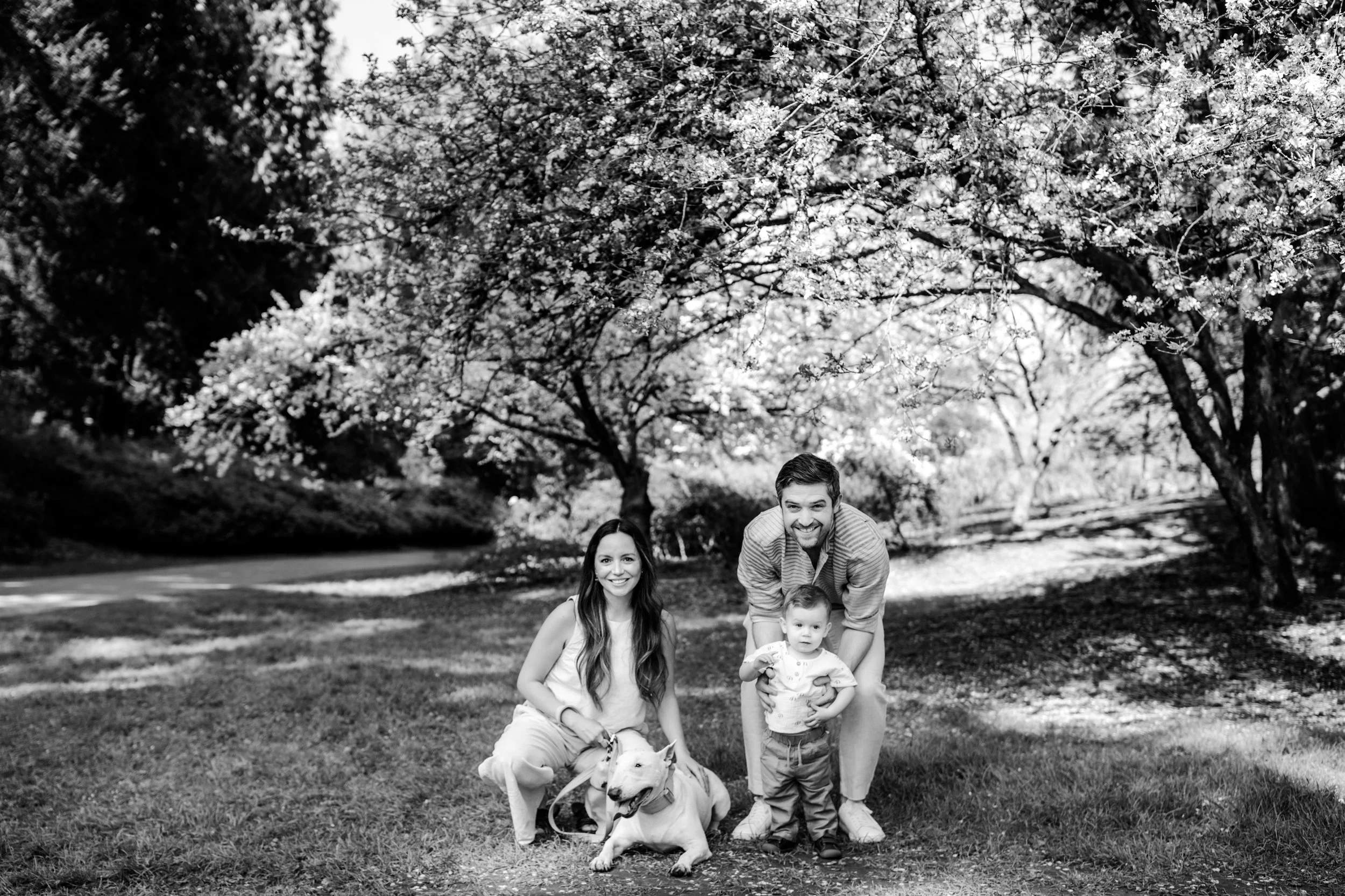 cherry blossom mini sessions - seattle lifestyle photography