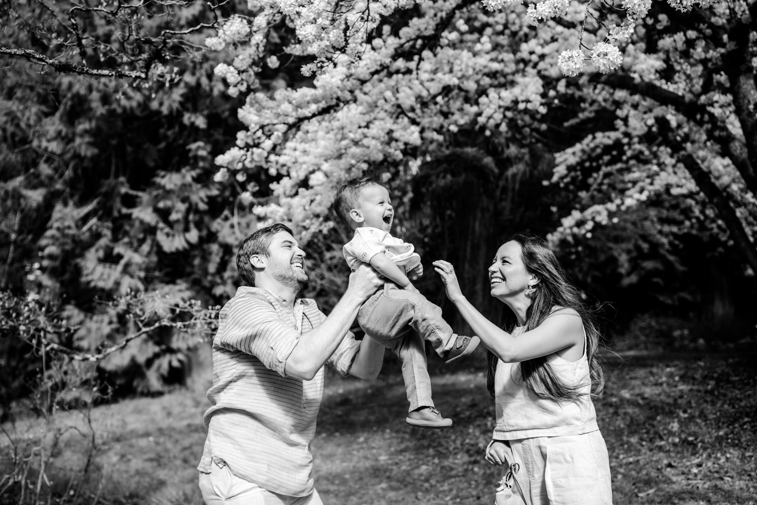 cherry blossom mini sessions - seattle lifestyle photography