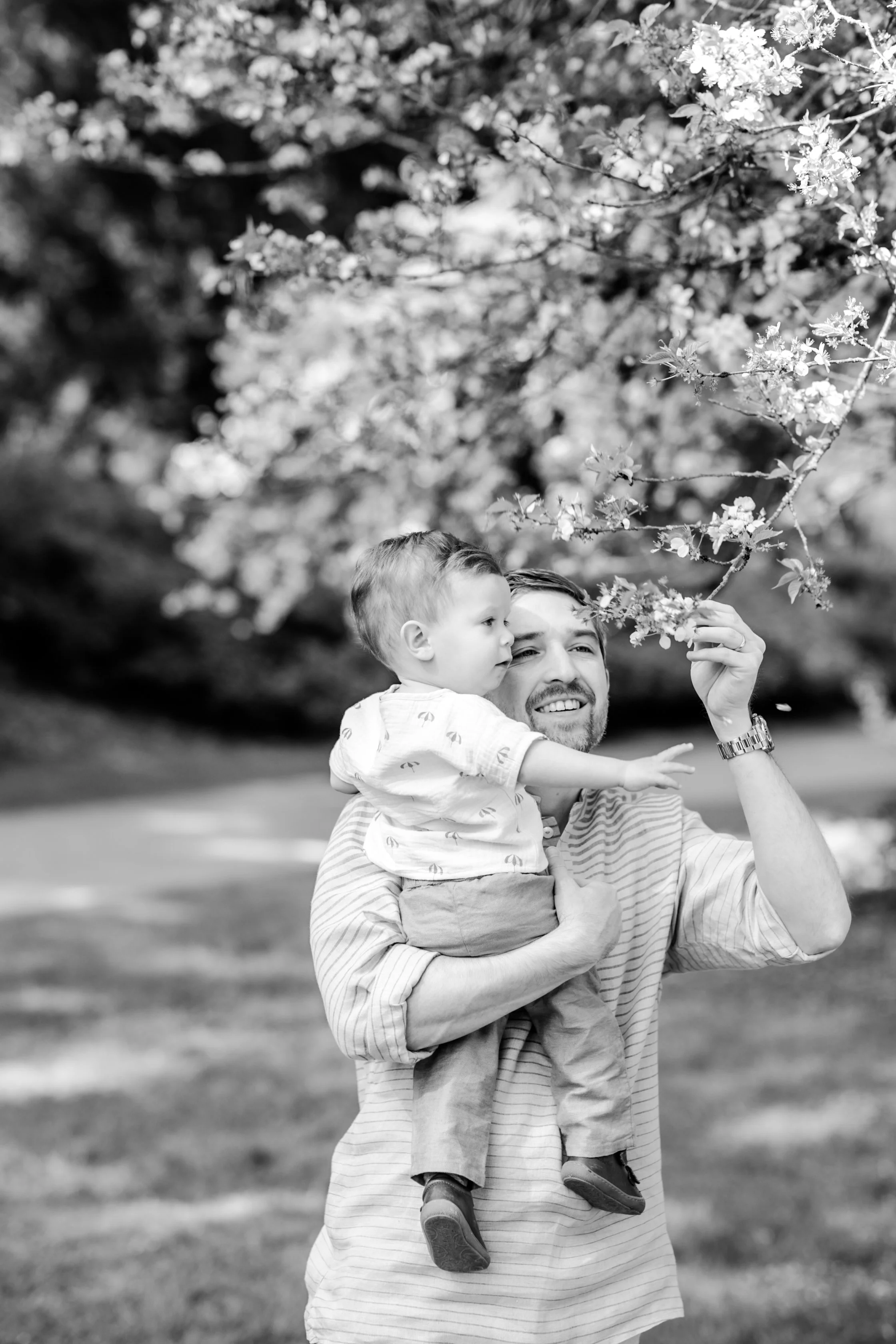 cherry blossom mini sessions - seattle lifestyle photography