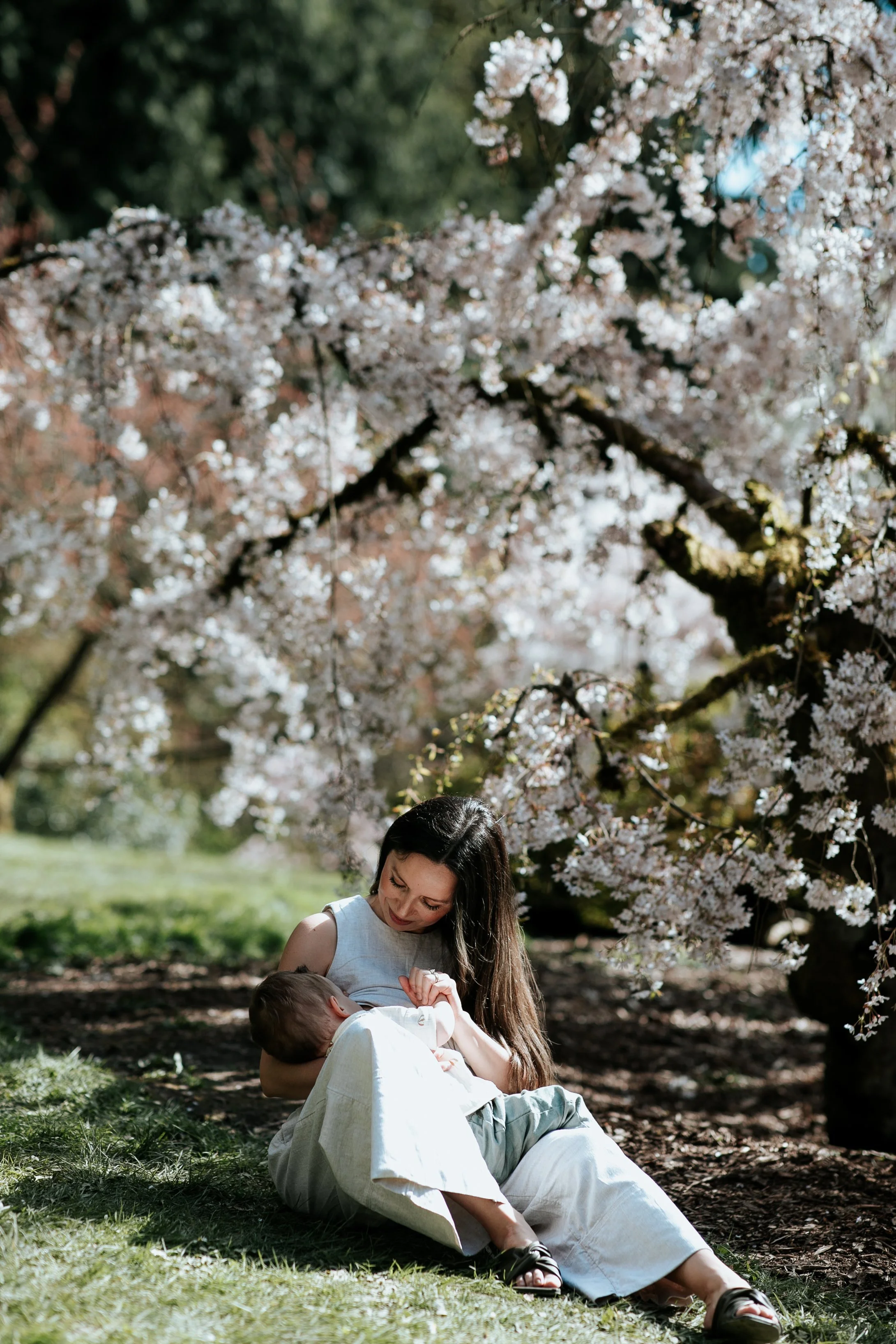 seattle lifestyle photographer - spring mini sessions