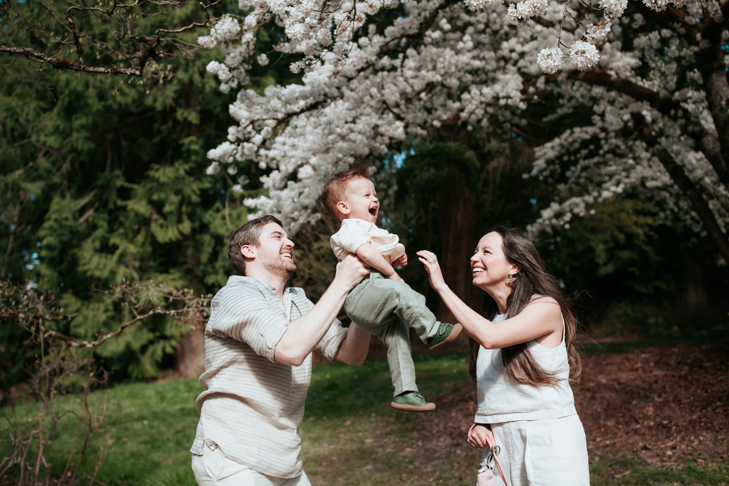 a family plays under a cherry blossom for spring mini sessions in Seattle