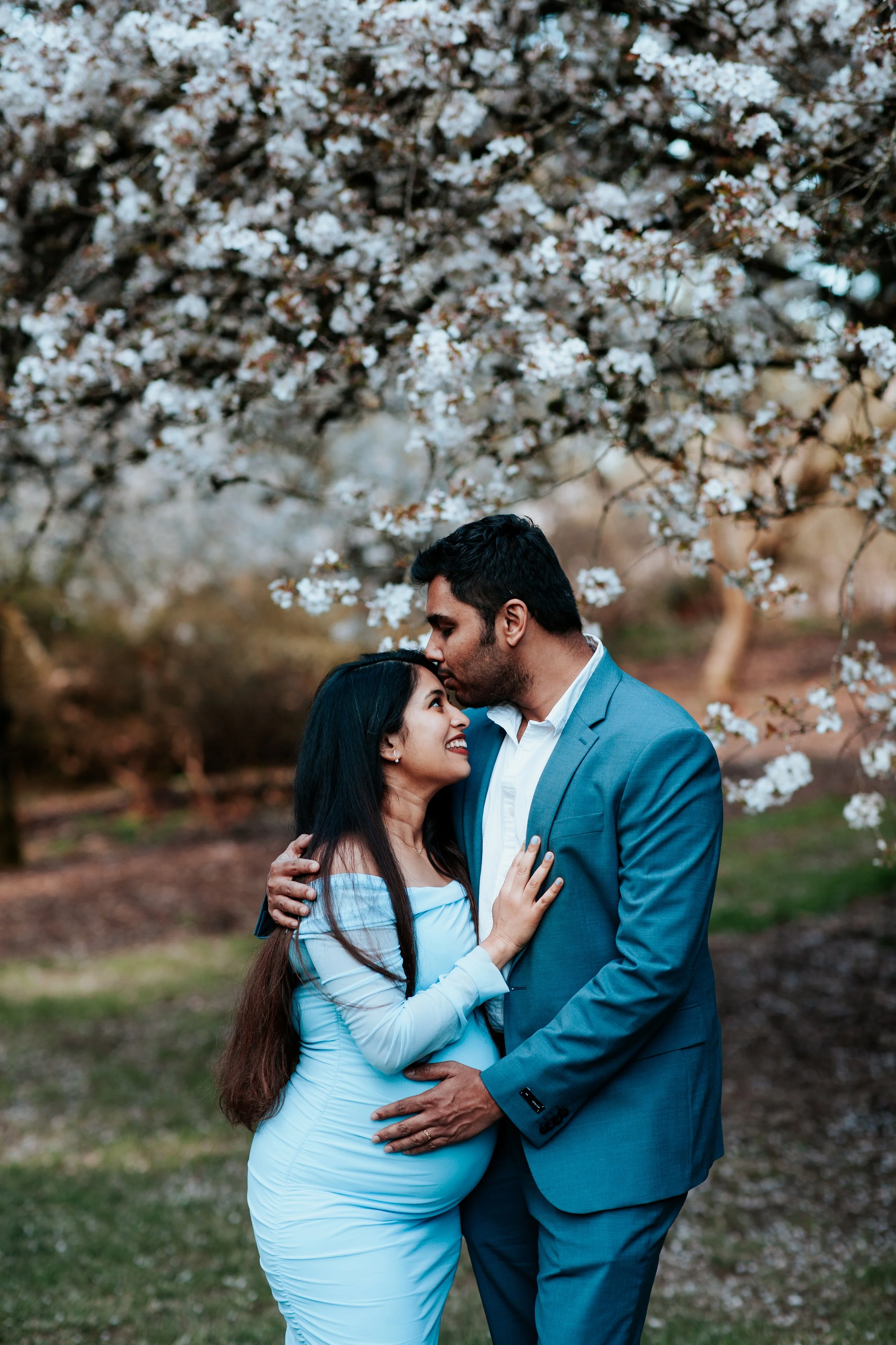 2026 Spring Cherry Blossom Mini Sessions