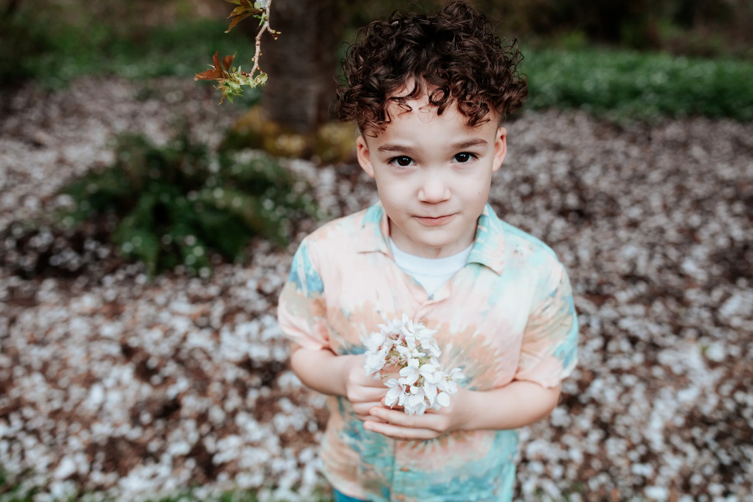 a boy holds a bouquet of cherry blossoms for lifestyle mini sessions in Seattle
