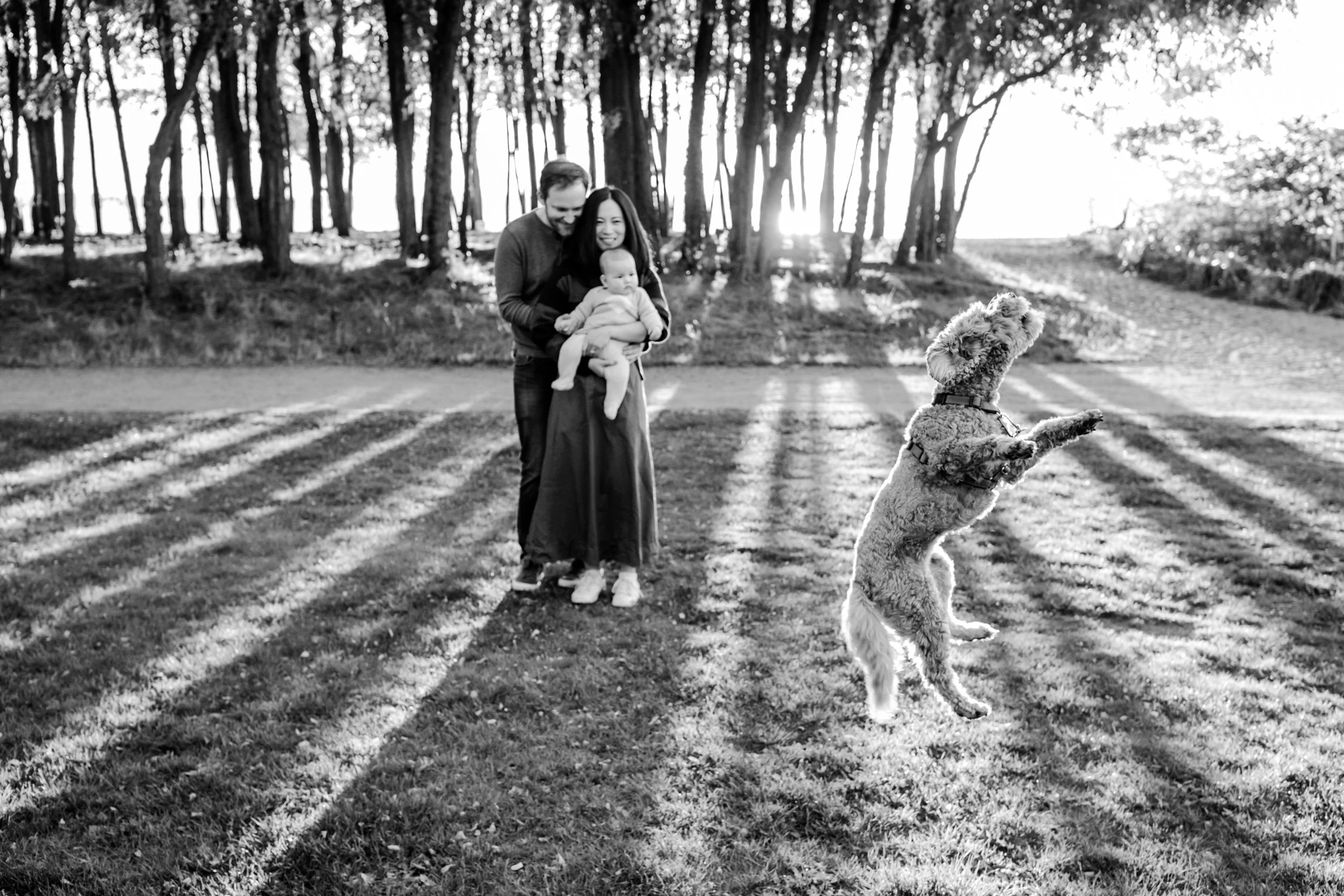 seattle summer mini sessions - golden gardens