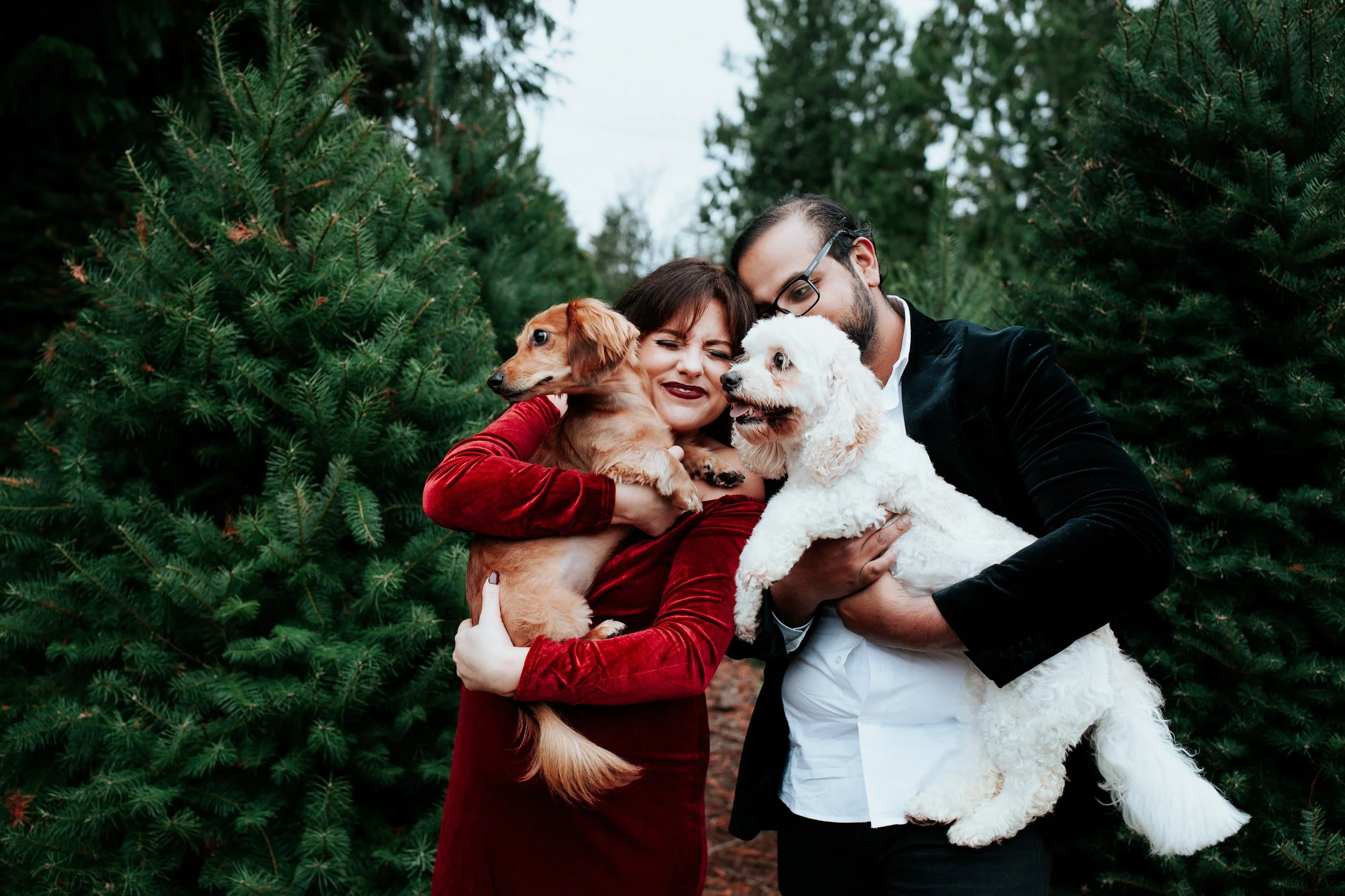 tree farm mini sessions at trinity tree farm