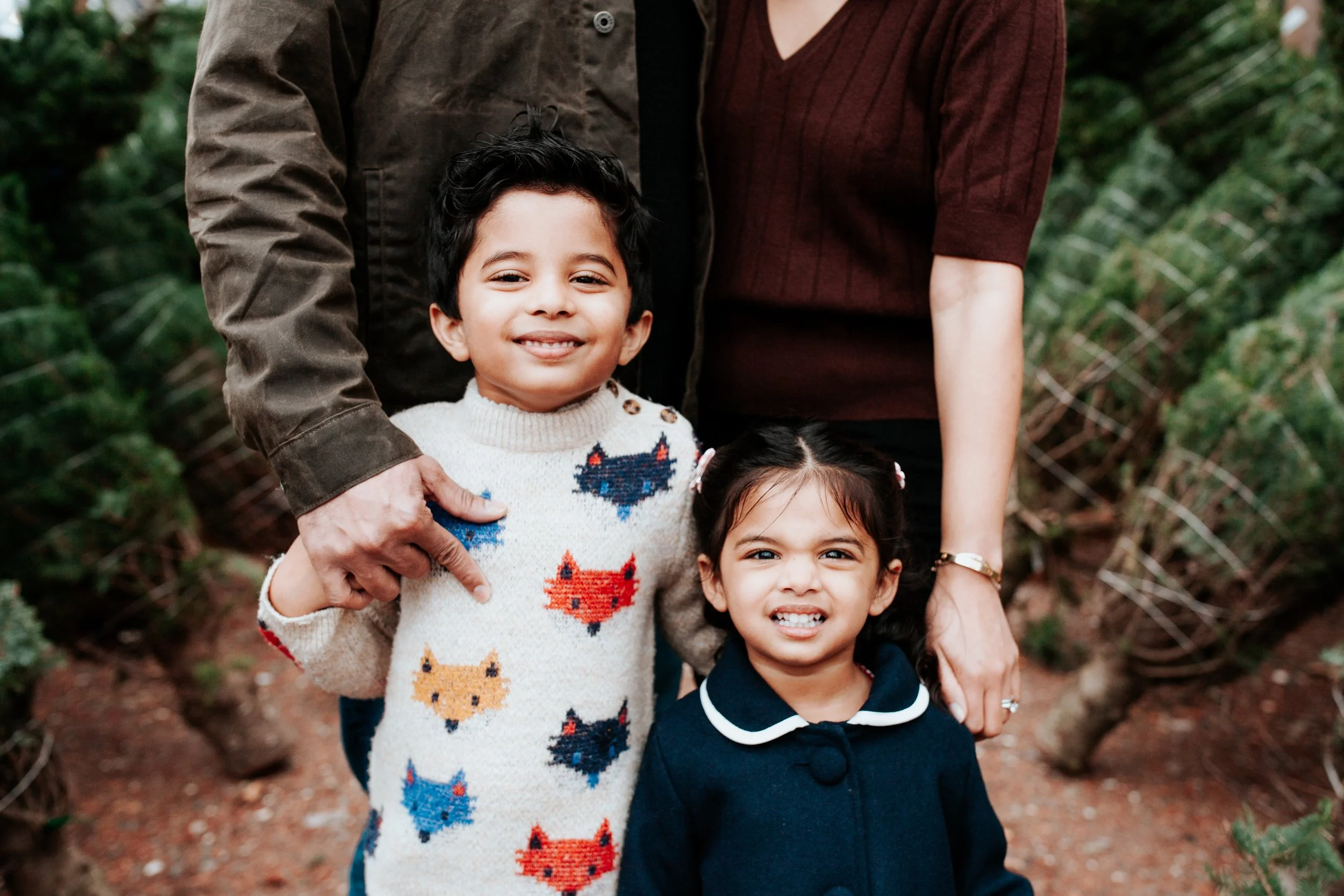 tree farm mini sessions - seattle lifestyle photographer