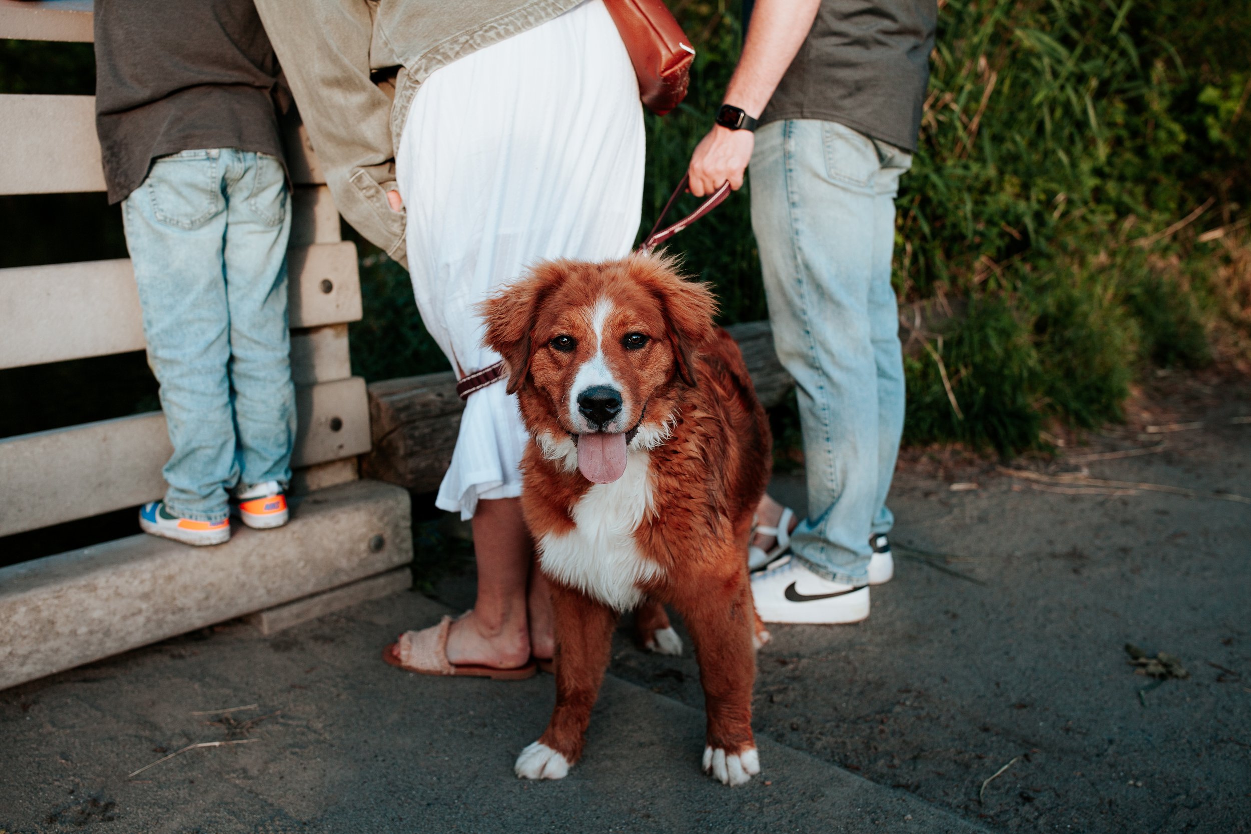 seattle mini session photographer - fall golden gardens