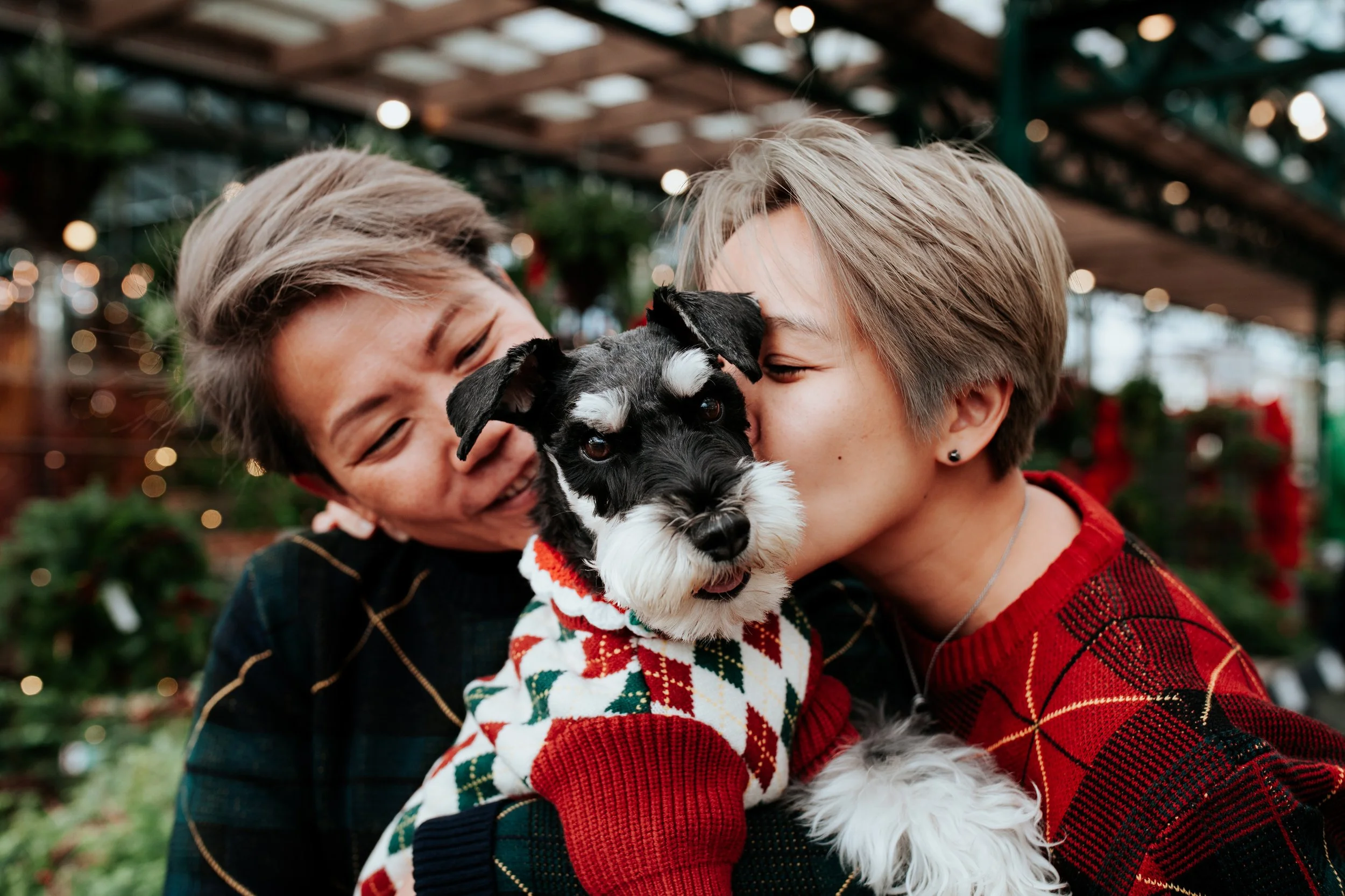 seattle lifestyle photographer - mini sessions
