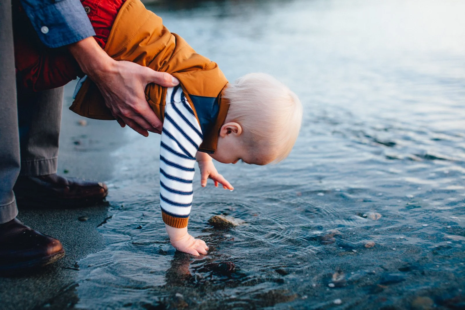 Golden Gardens: the best family photography location