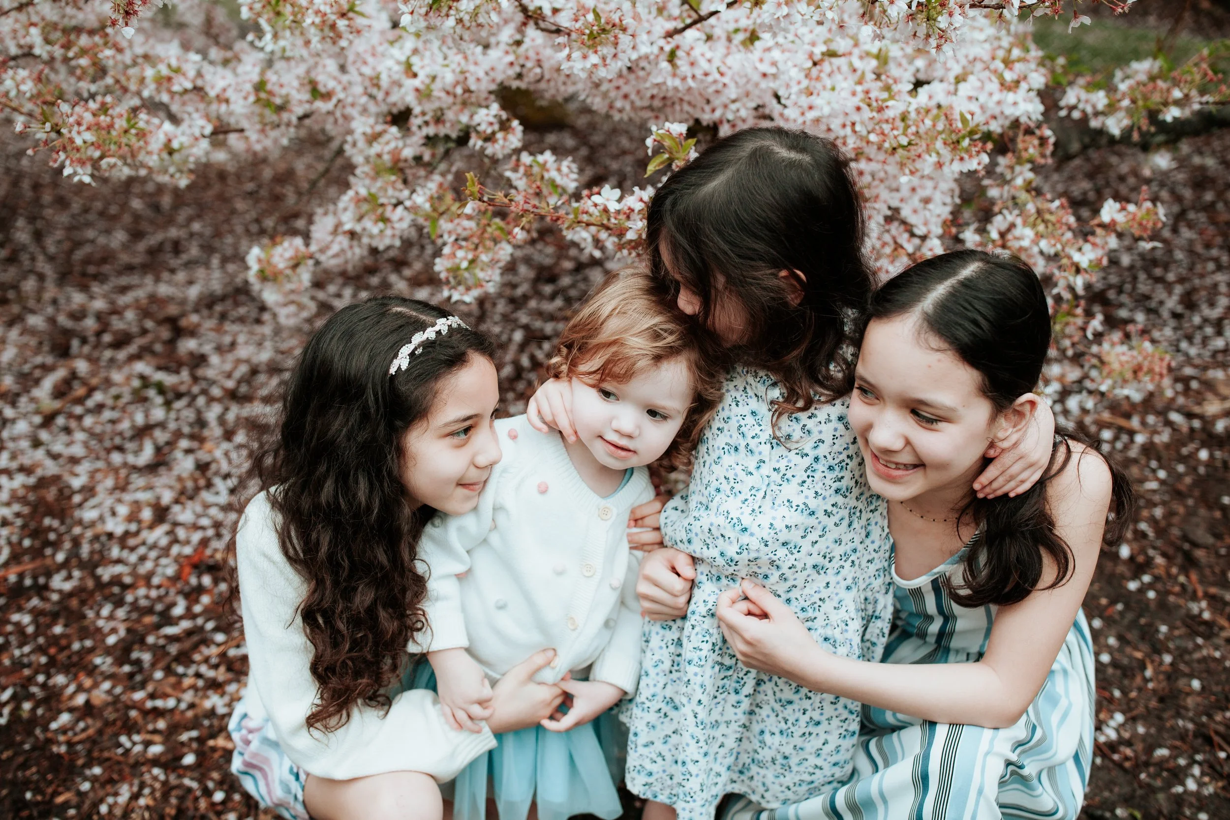 sisters hug under a cherry blossom tree