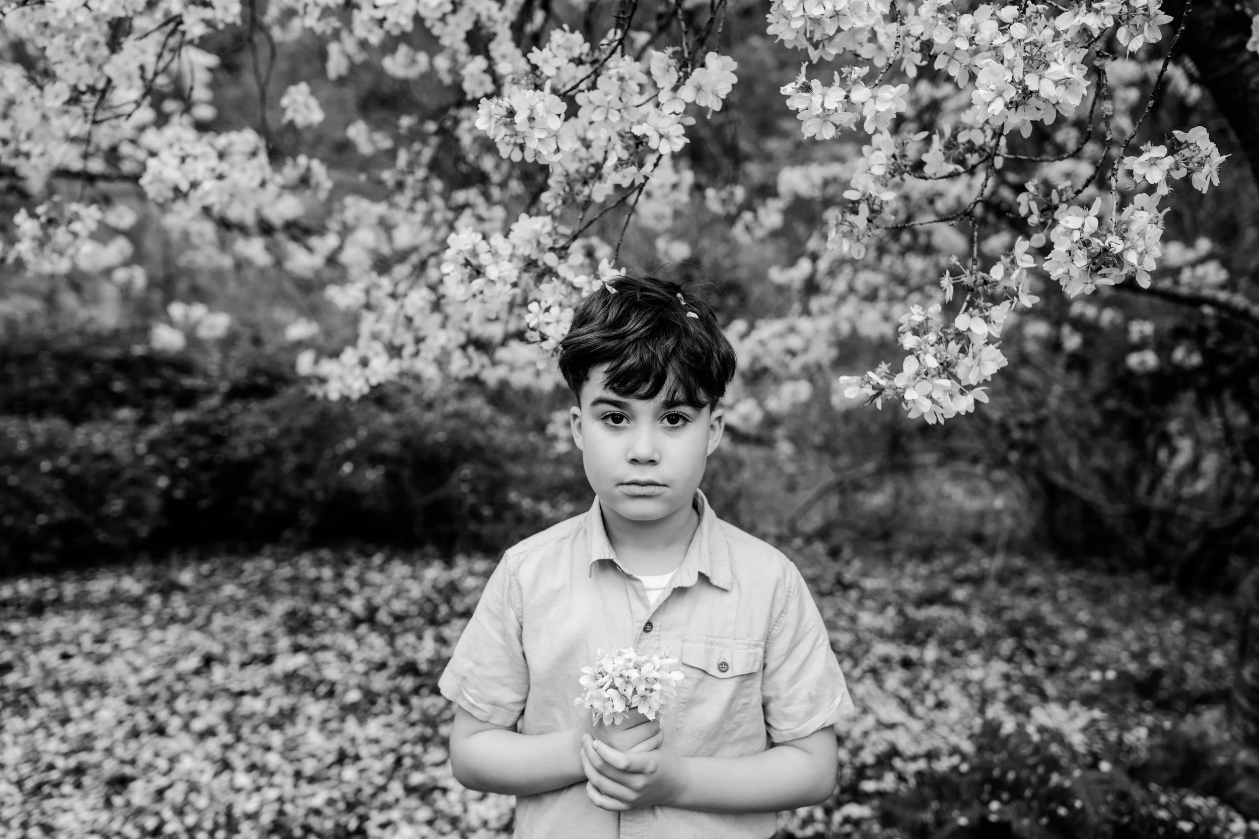 a boy holding a cherry blossom bouquet