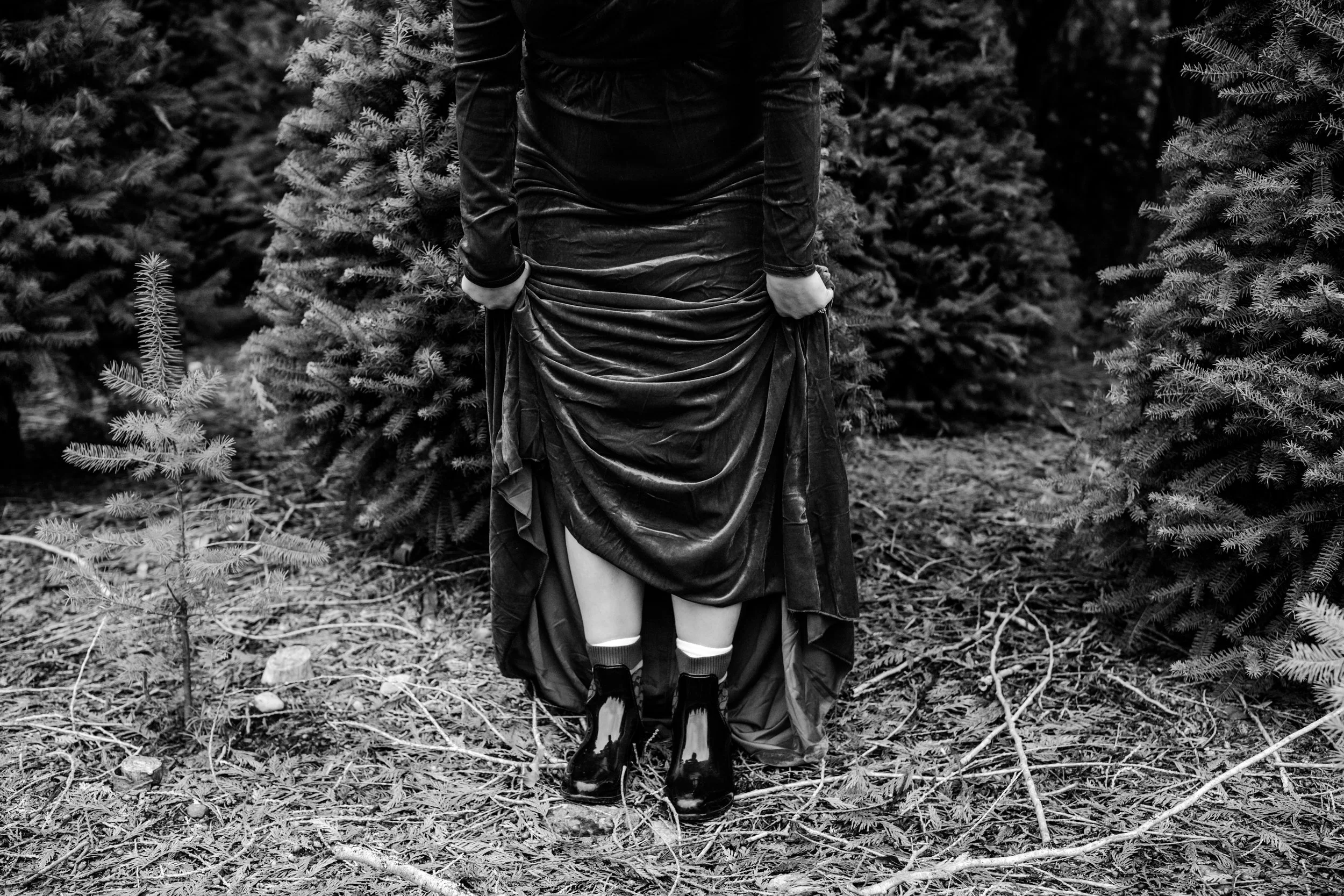 black and white photography at the tree farm for holiday mini sessions