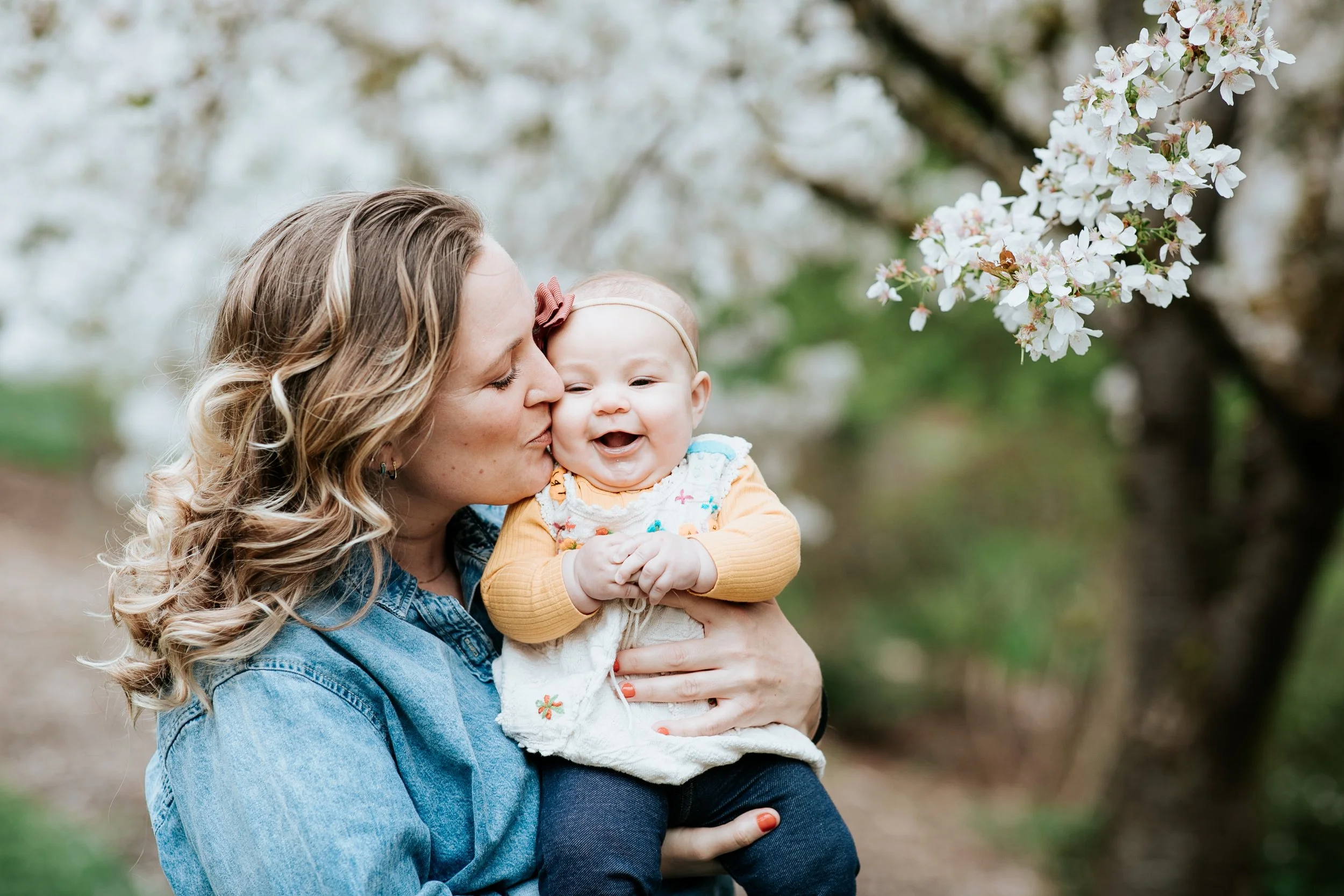 cherry blossom mini sessions at The Washington Park Arboretum